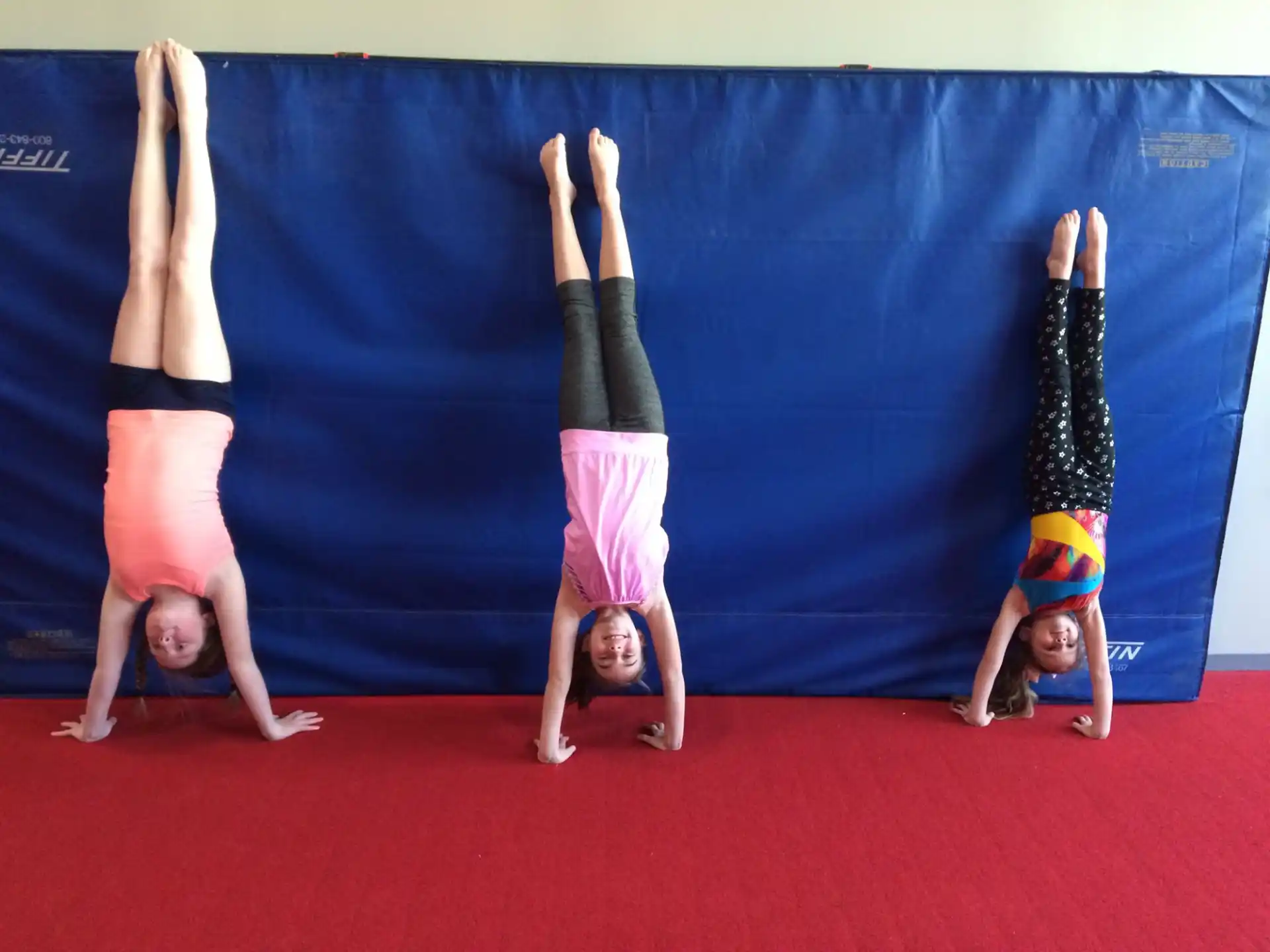 a group of people doing yoga