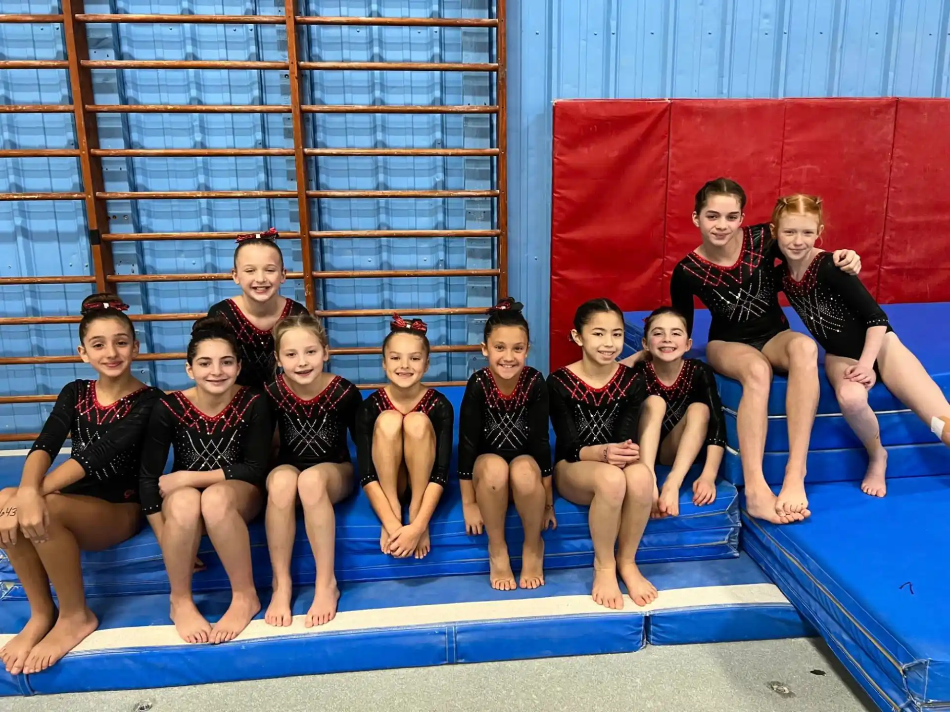 a group of girls in a gym