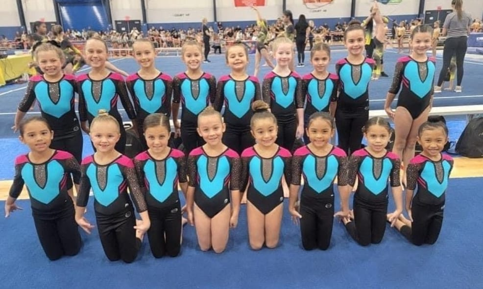 a group of girls in leotards posing for a photo