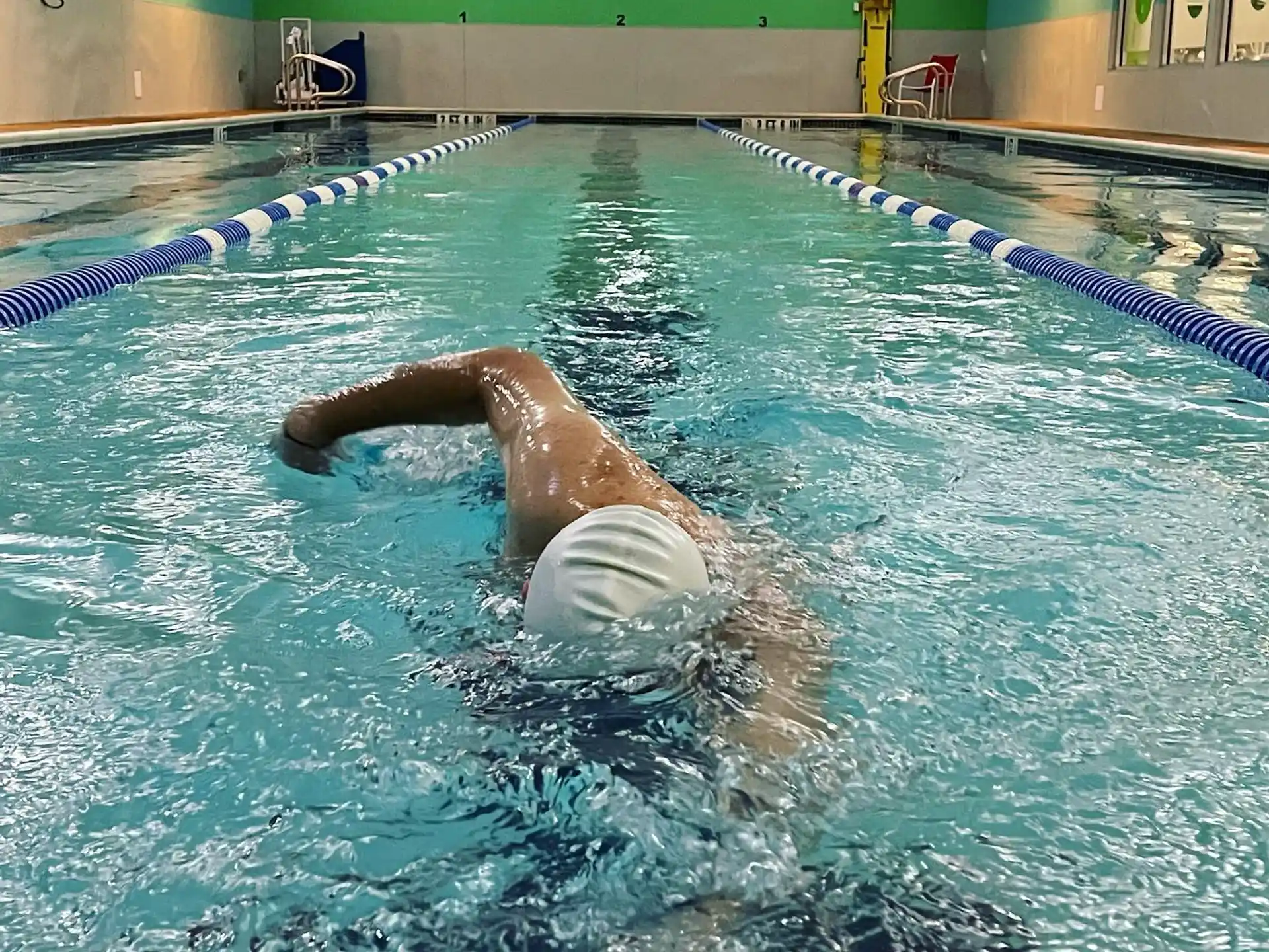 a dolphin in a pool