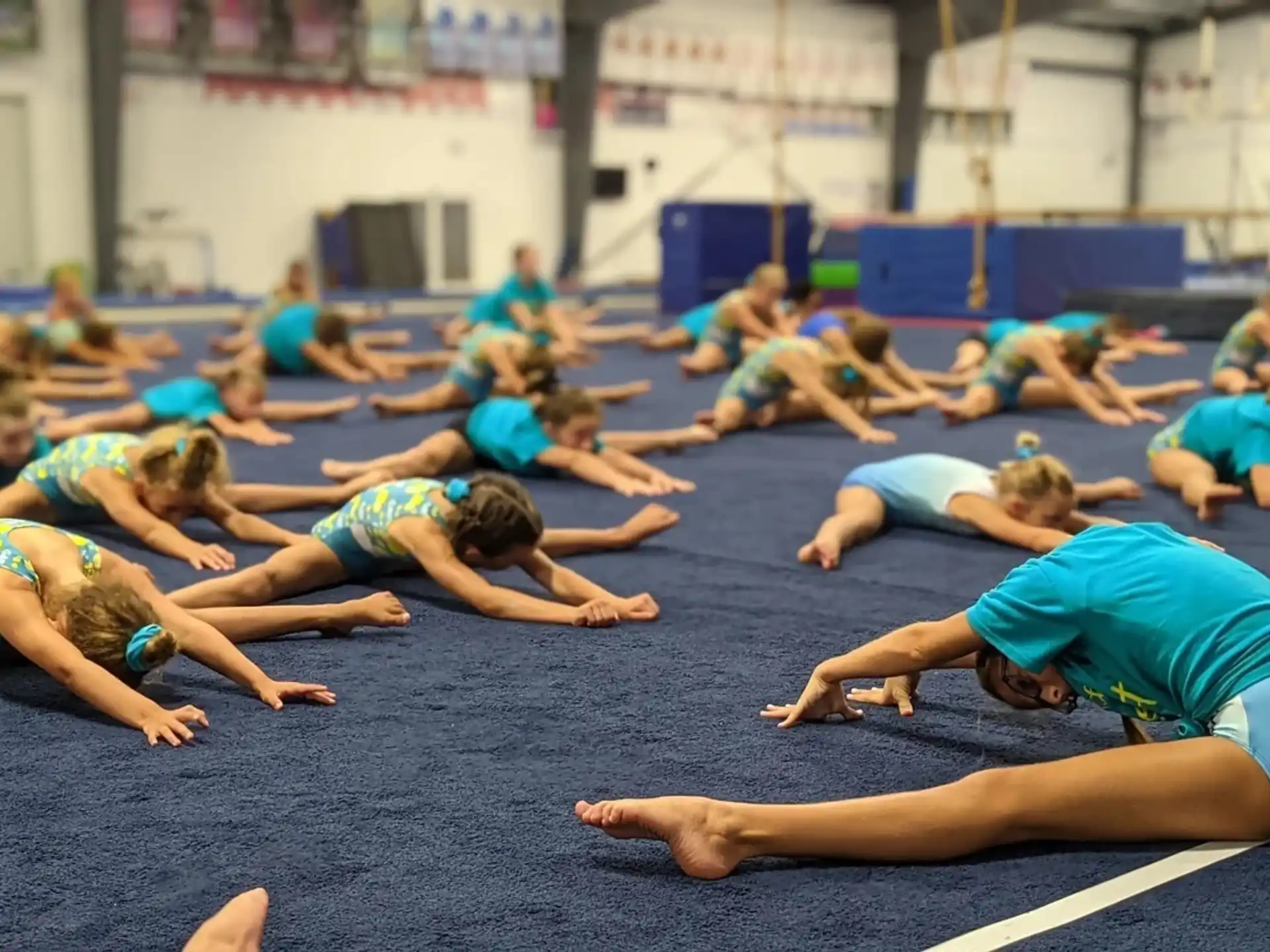 a group of people exercising
