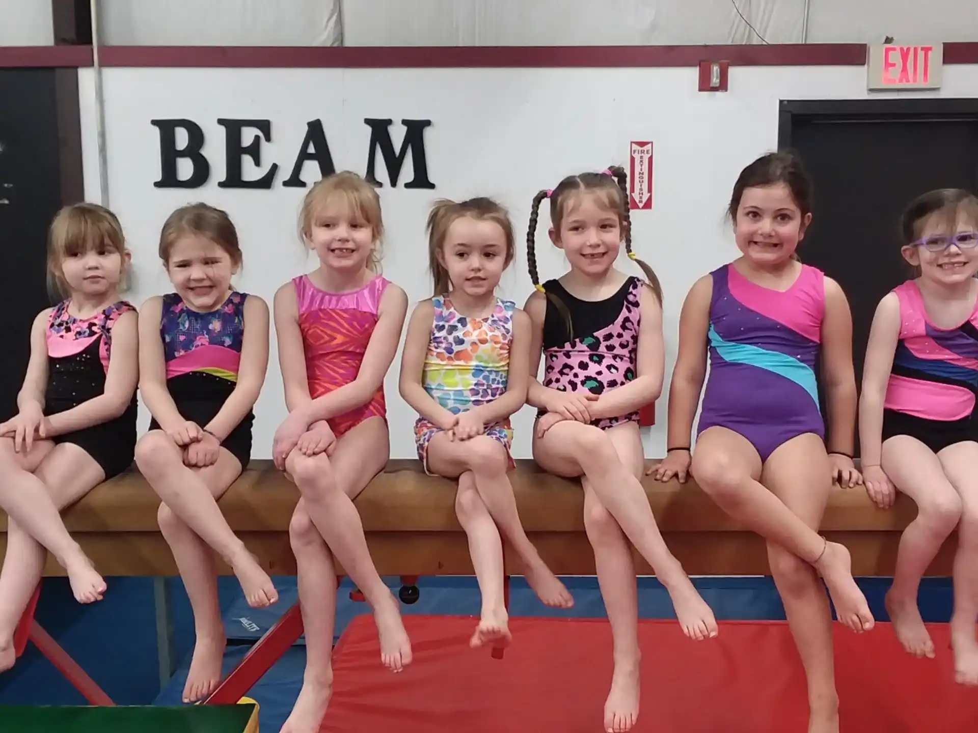 a group of girls in swimsuits posing for a photo
