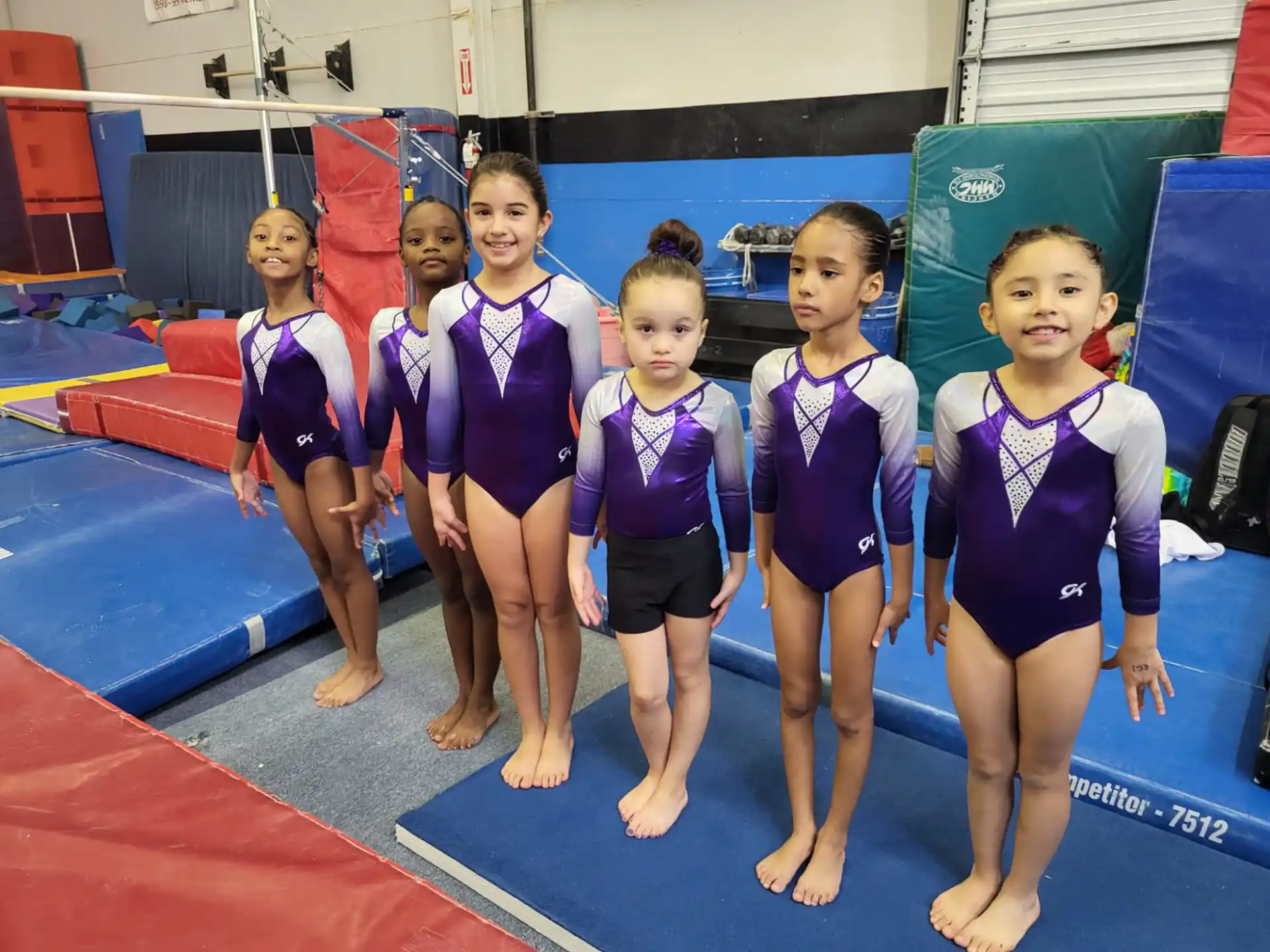 a group of girls in leotards posing for a photo
