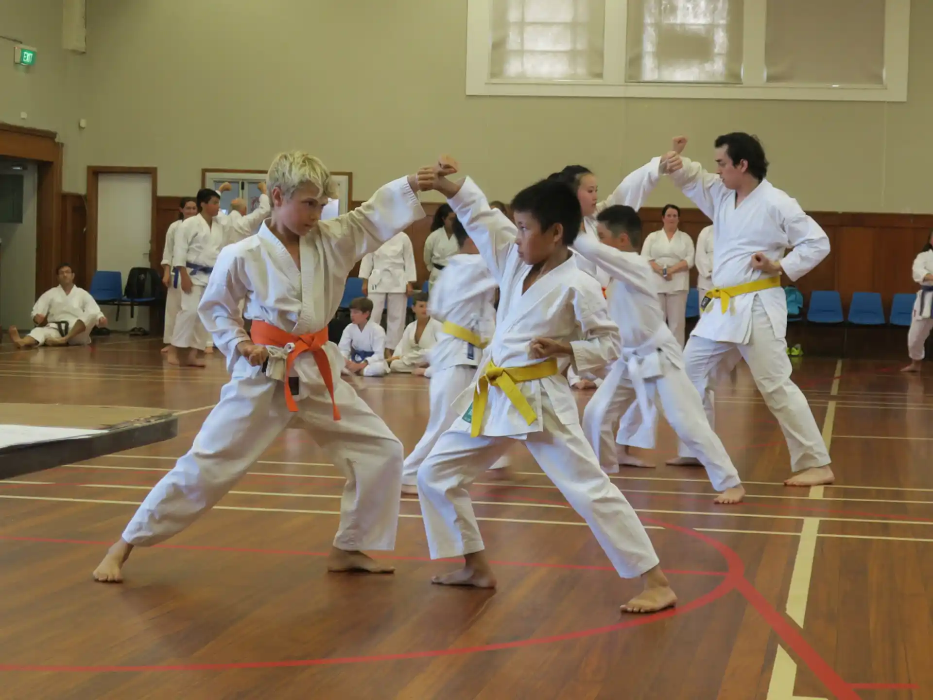 a group of people in karate uniforms