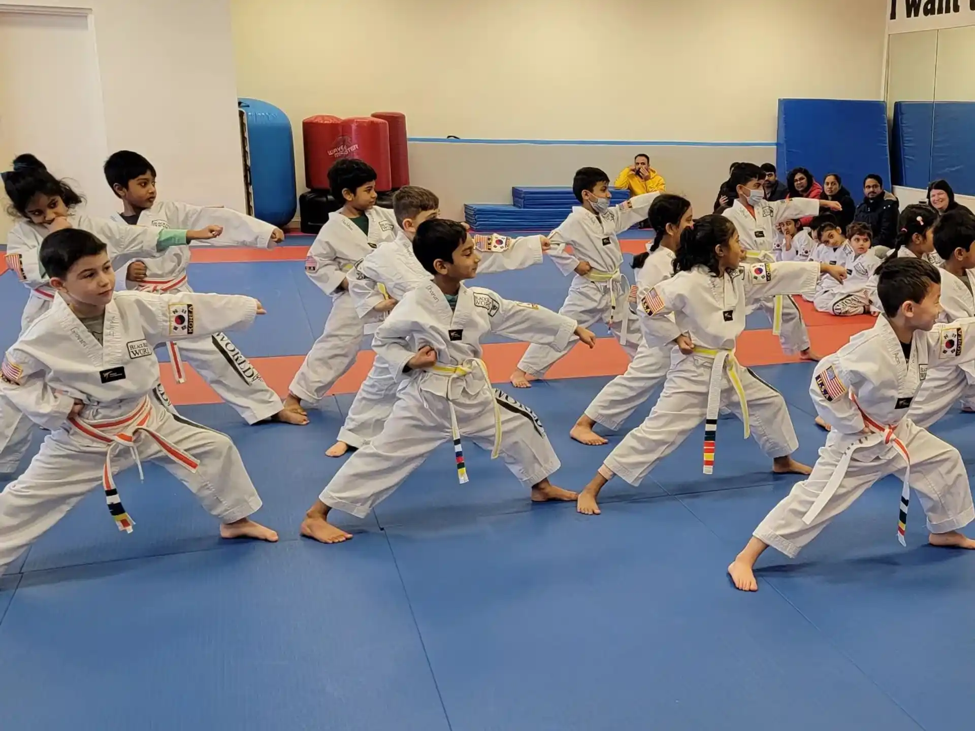 a group of people in karate uniforms