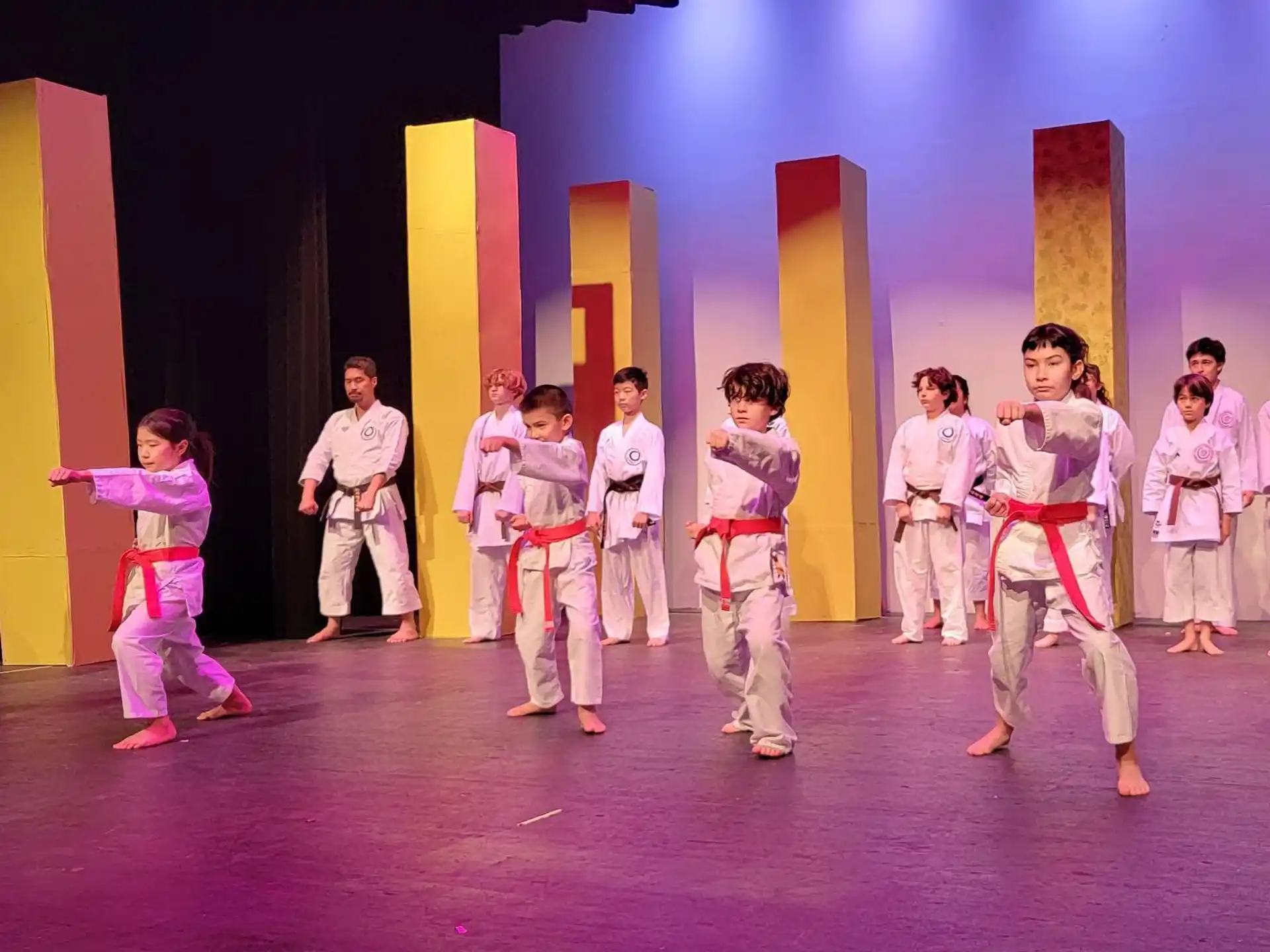 a group of children in karate uniforms