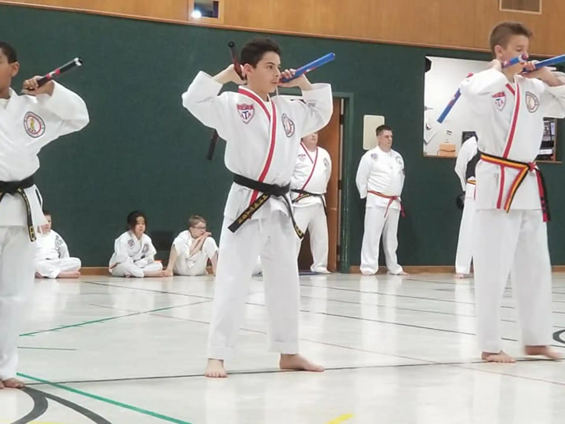 a group of boys in karate uniforms