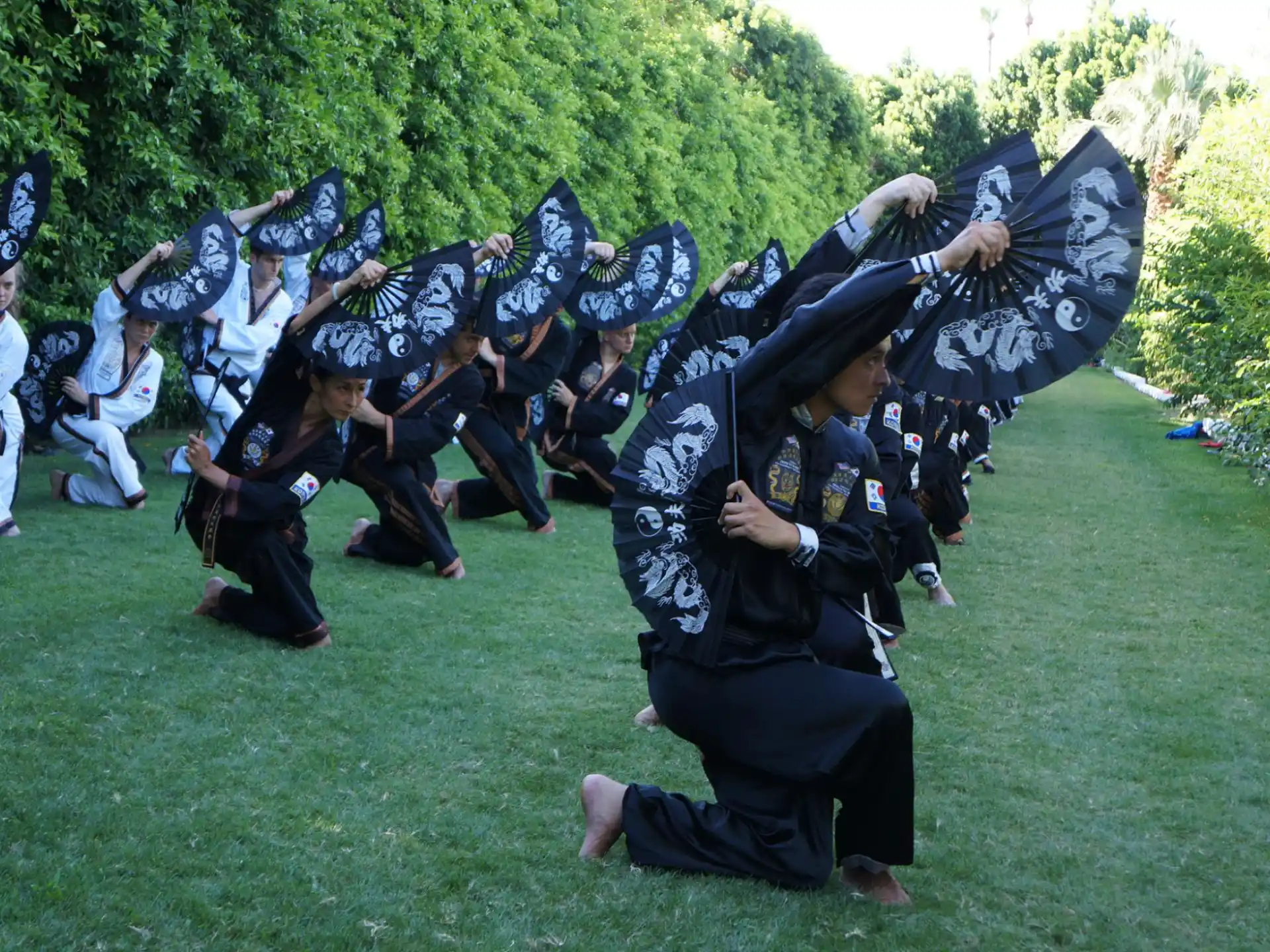 a group of people in black robes holding black umbrellas