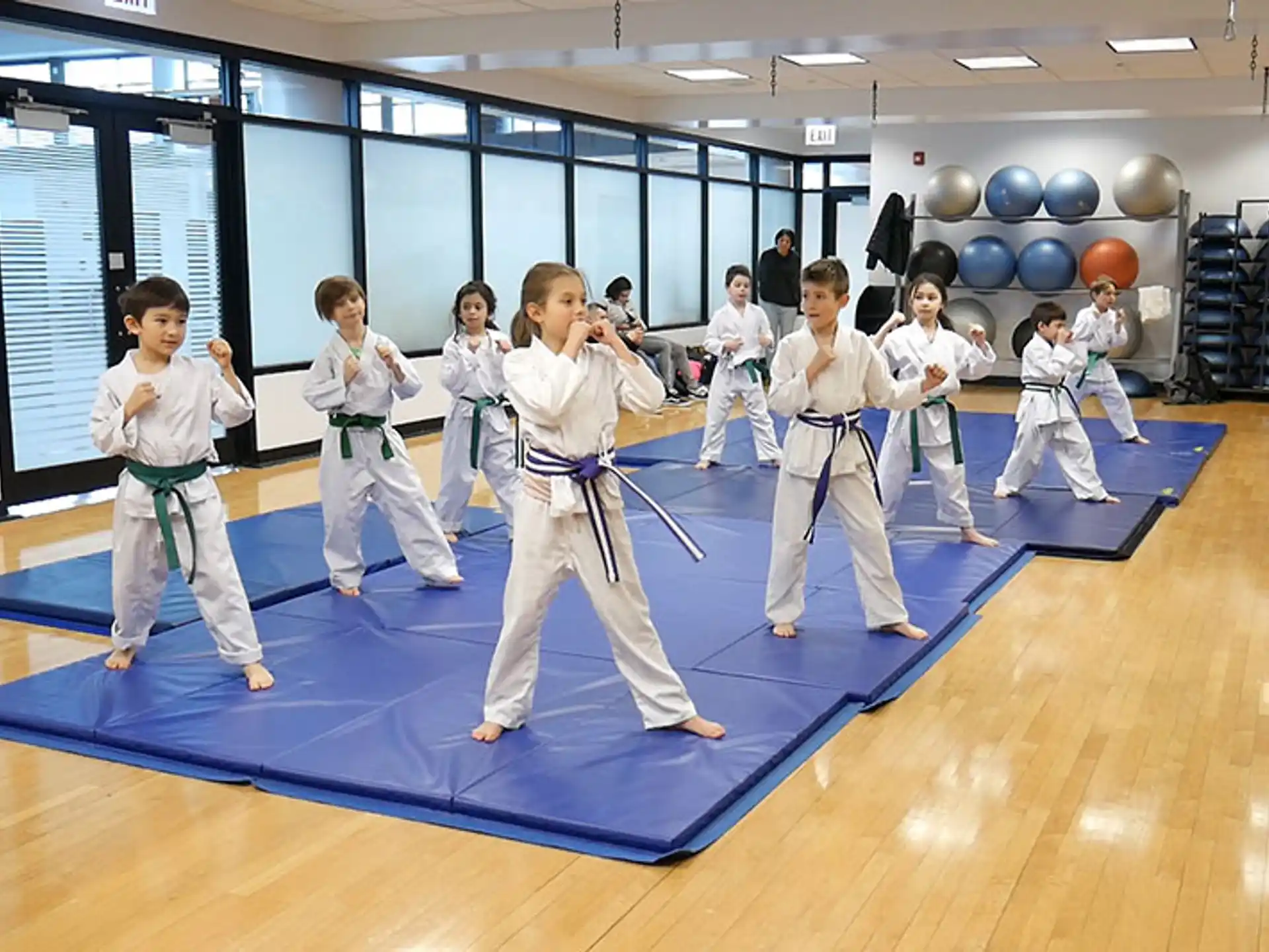 a group of people in karate uniforms