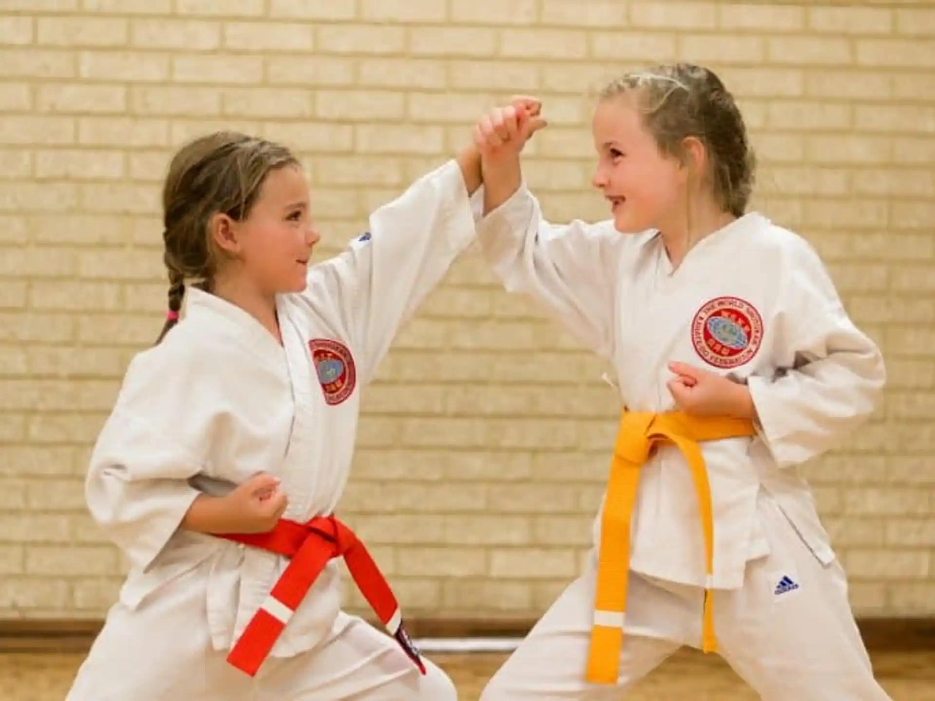 a couple of women in karate uniforms