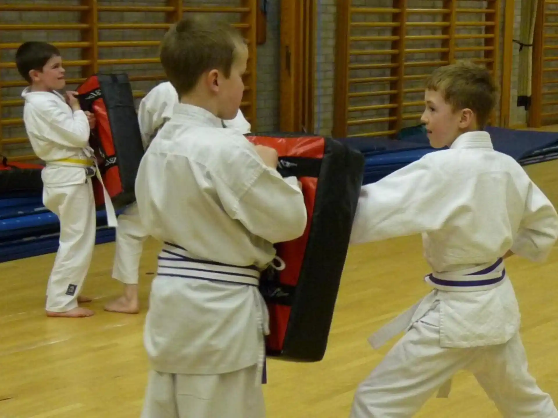 a group of boys in karate uniforms