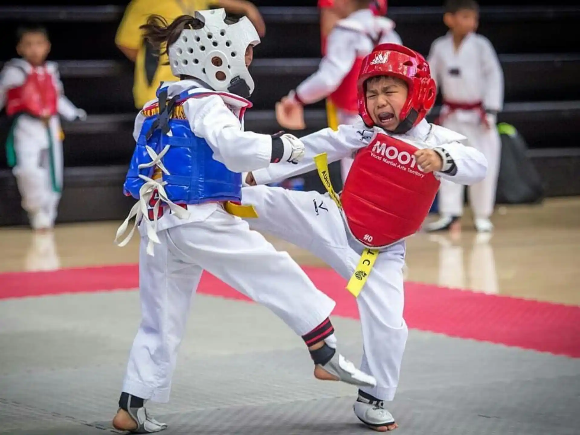 a man and a woman in a karate uniform fighting