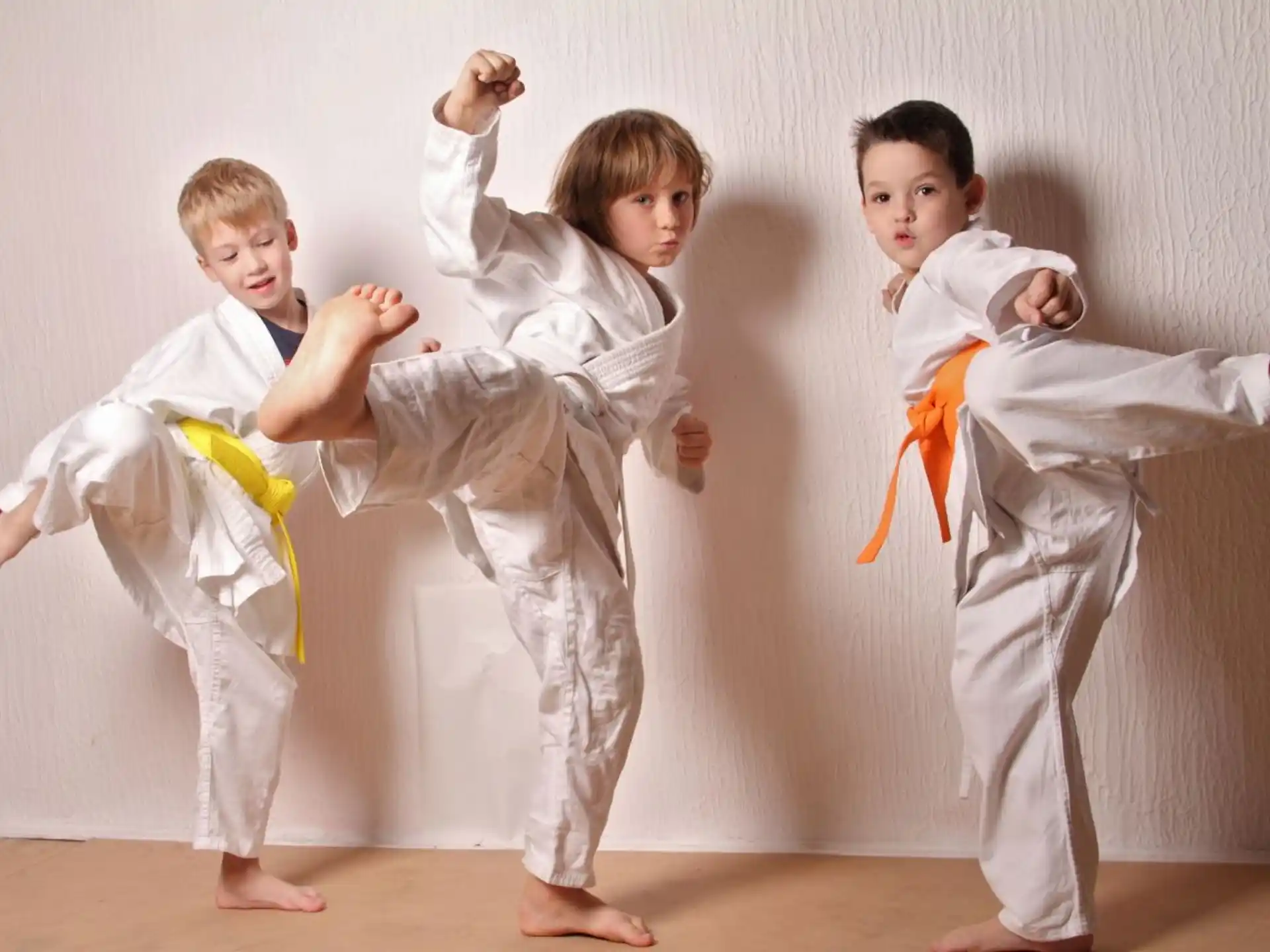 a group of boys in karate uniforms
