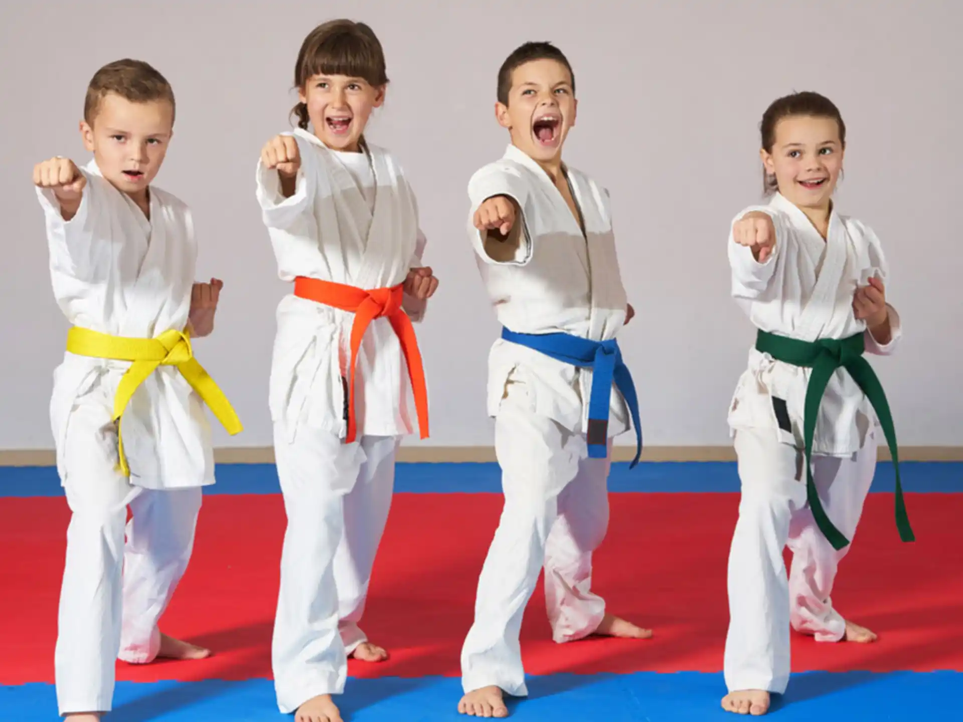 a group of kids in karate uniforms