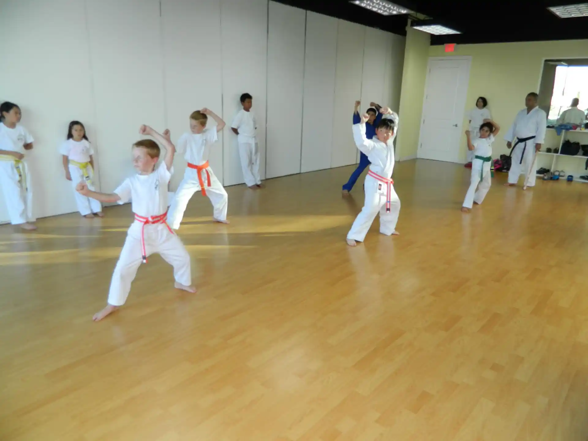 a group of children in karate uniforms