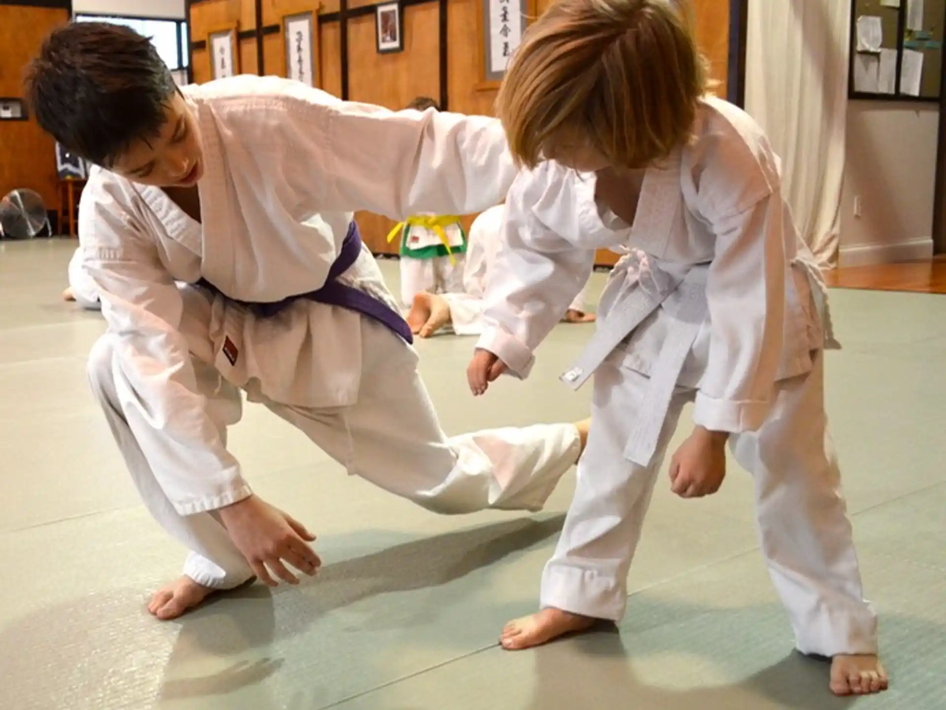 a couple of kids in karate uniforms