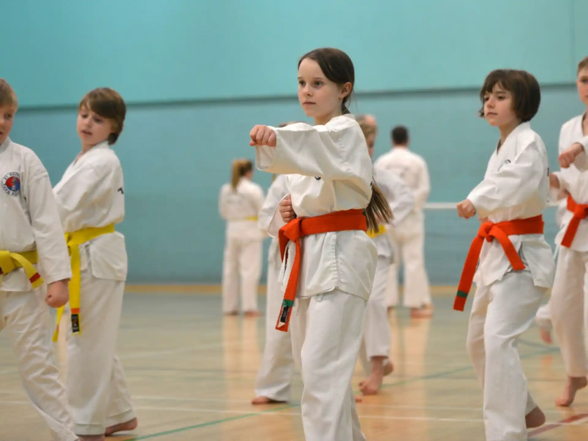 a group of children in karate uniforms