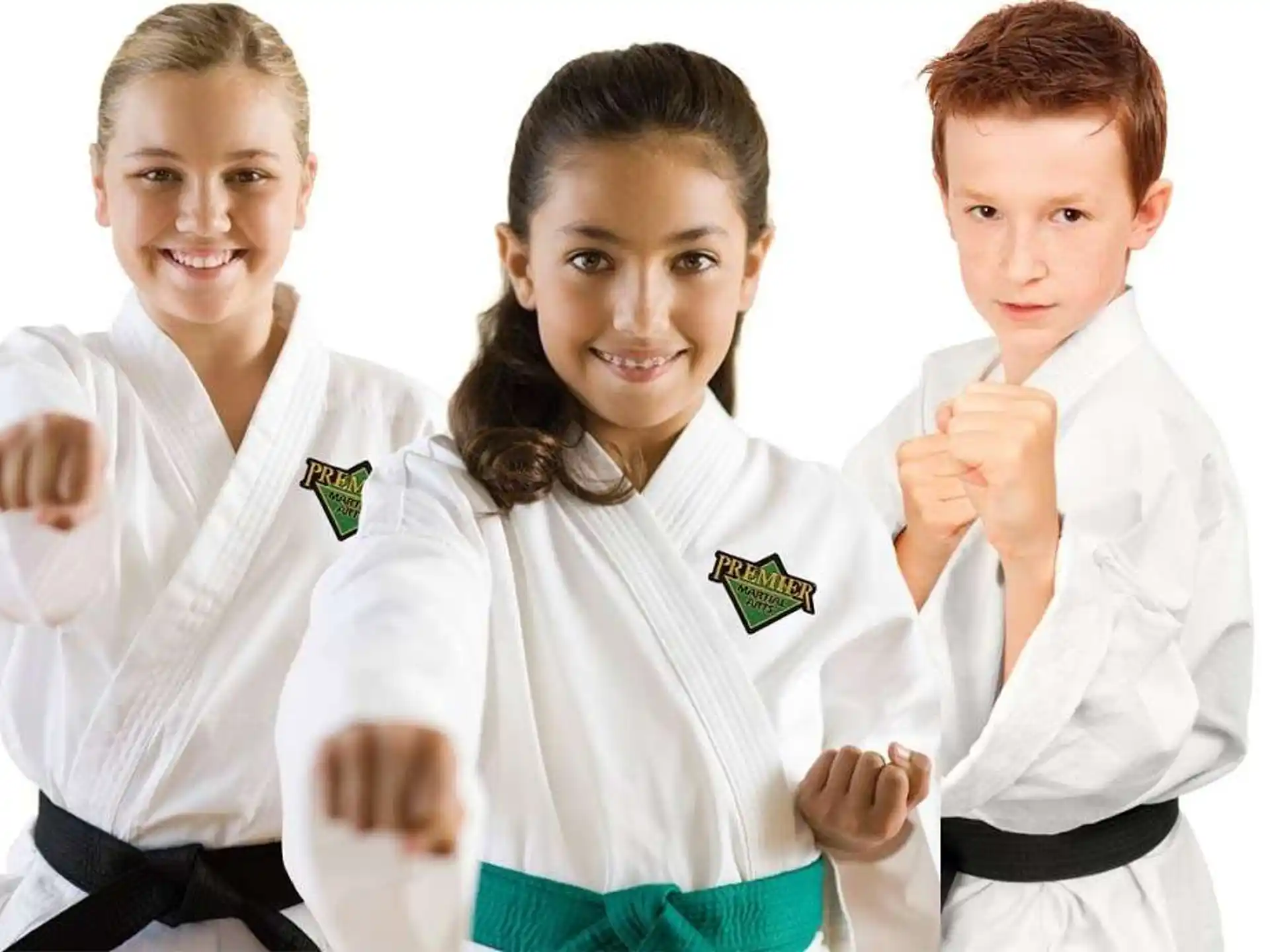 a group of people wearing karate uniforms