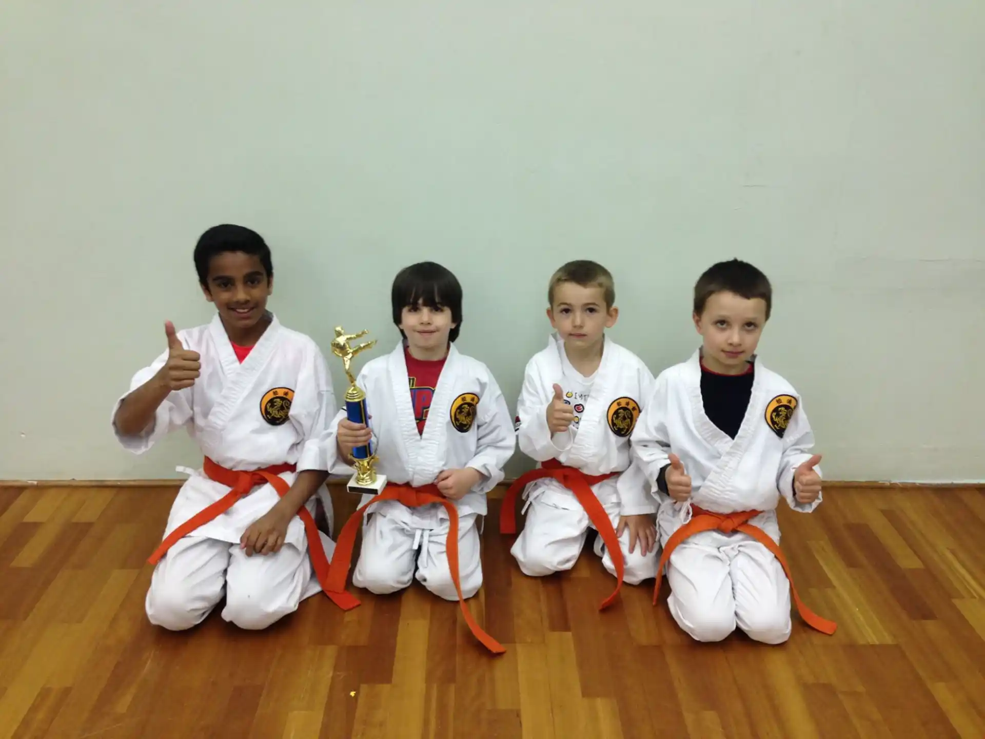 a group of boys in karate uniforms