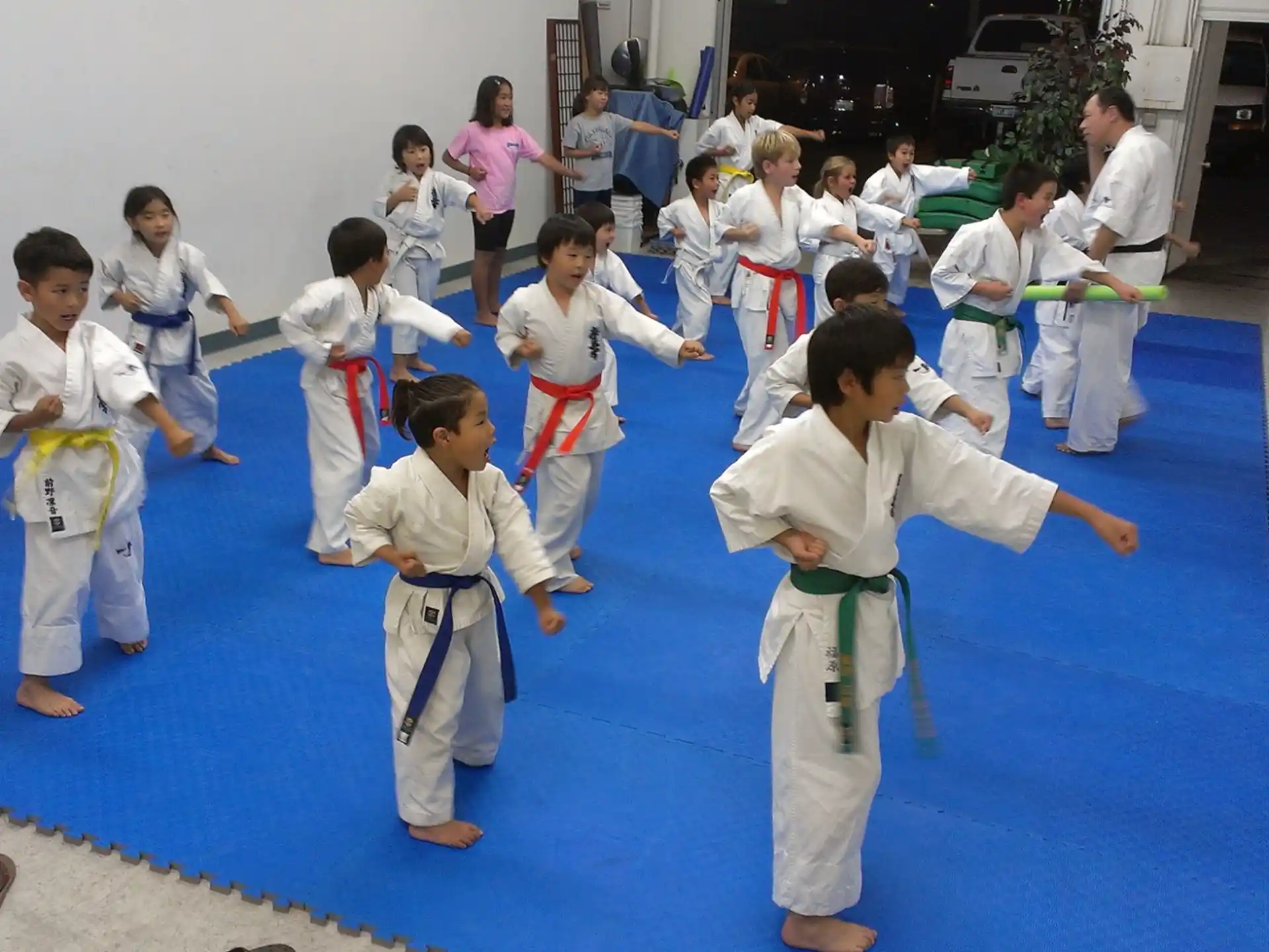 a group of children in karate uniforms