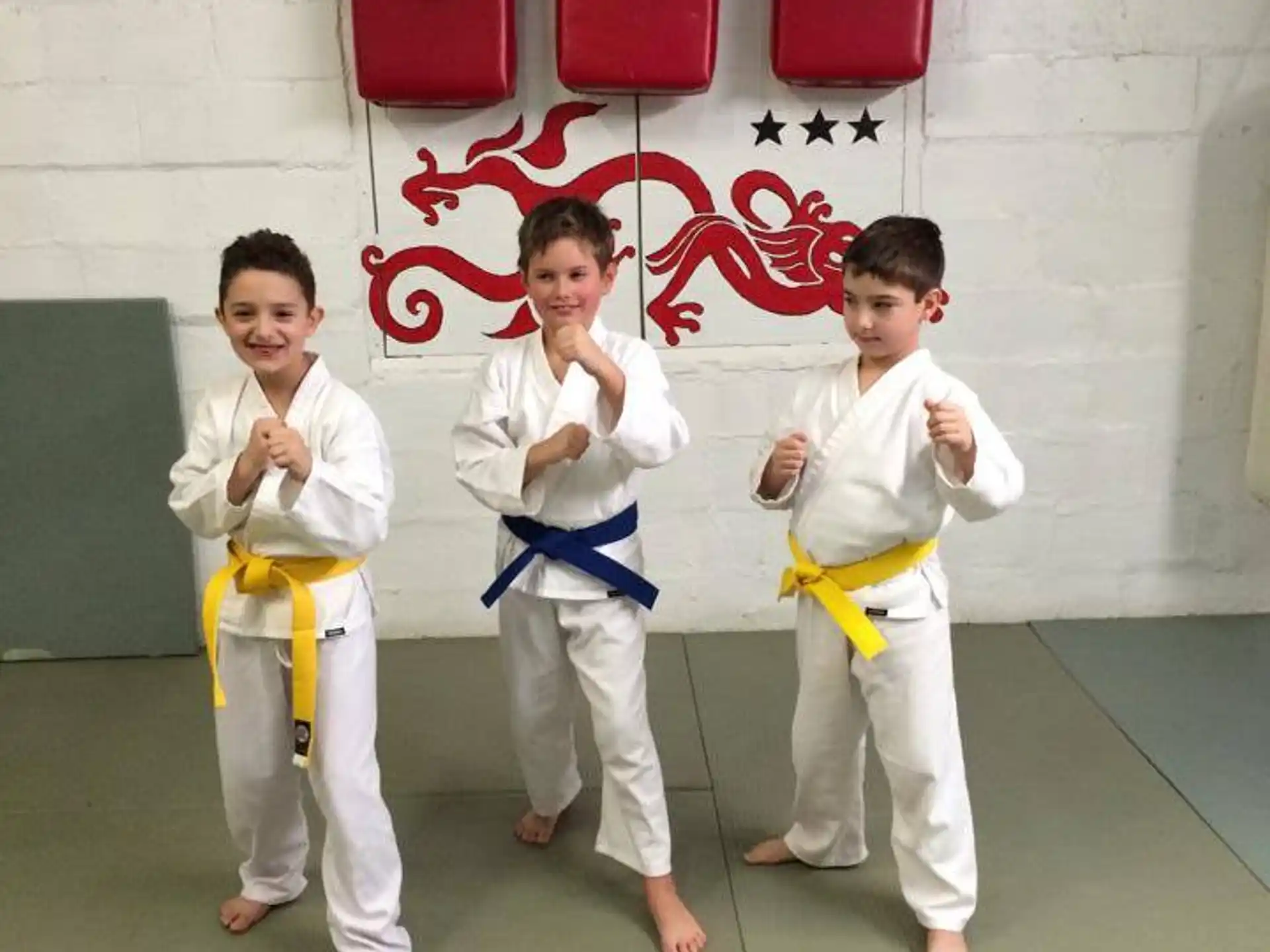 a group of boys in karate uniforms