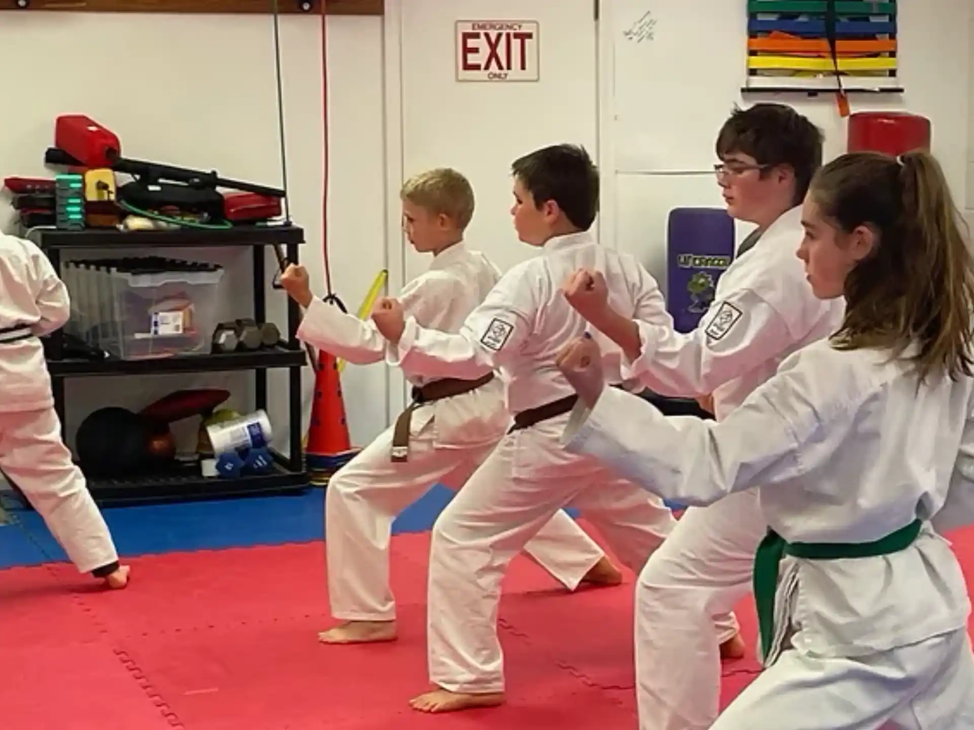 a group of people in karate uniforms