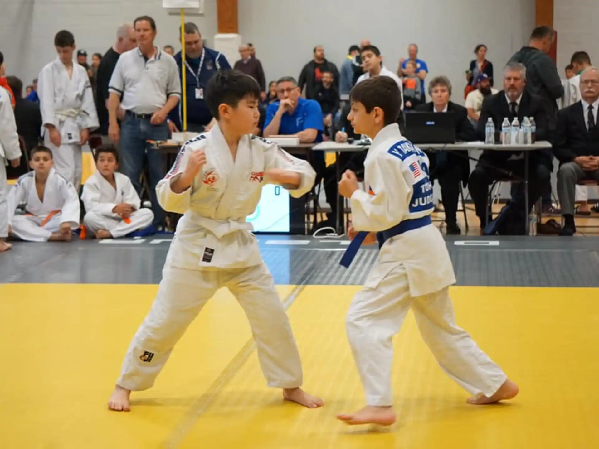 a couple of boys in karate uniforms
