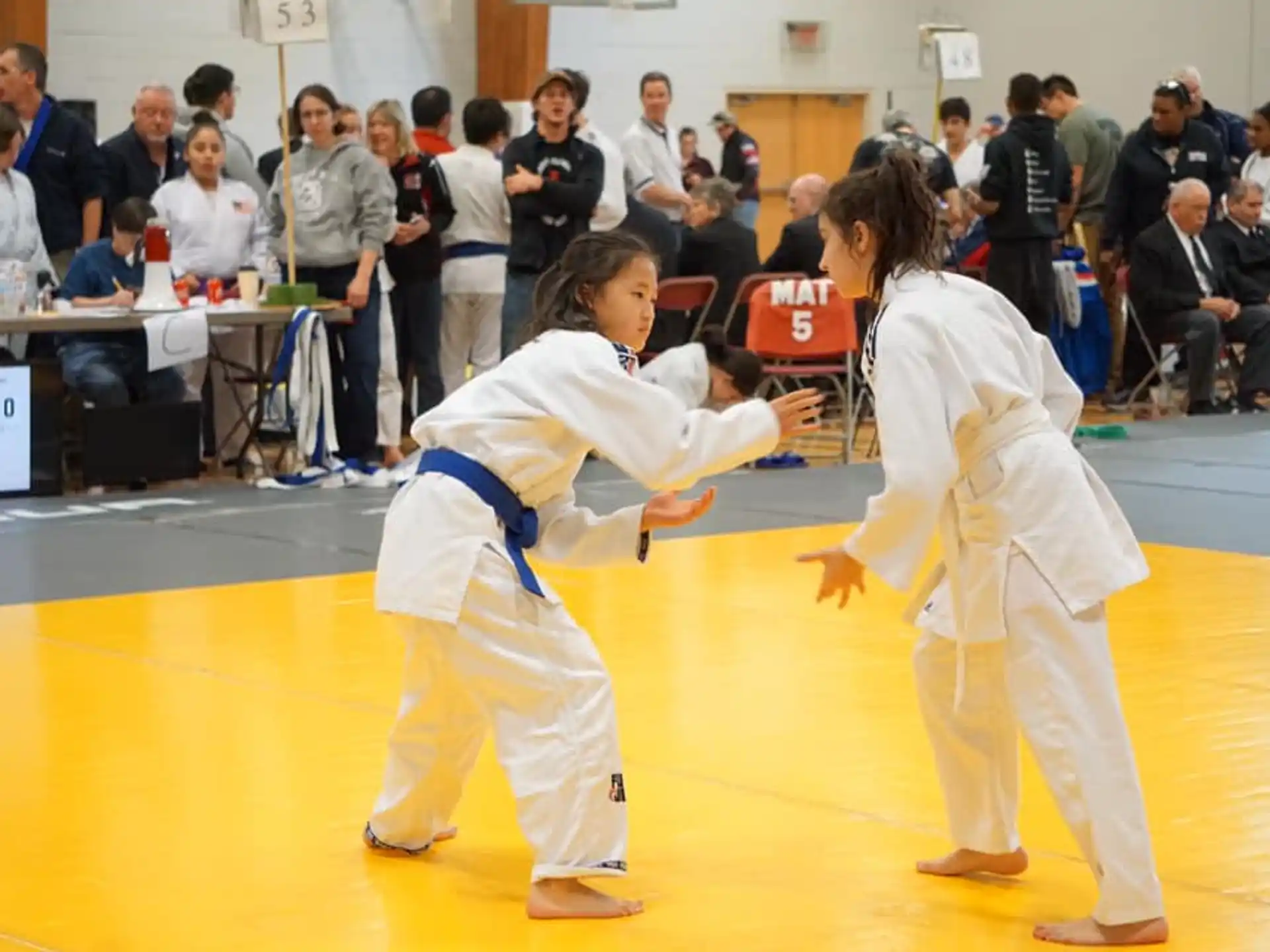 a couple of girls in karate uniforms