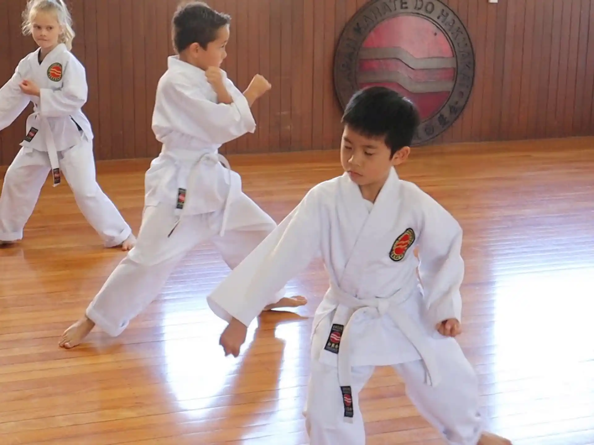 a group of kids in karate uniforms