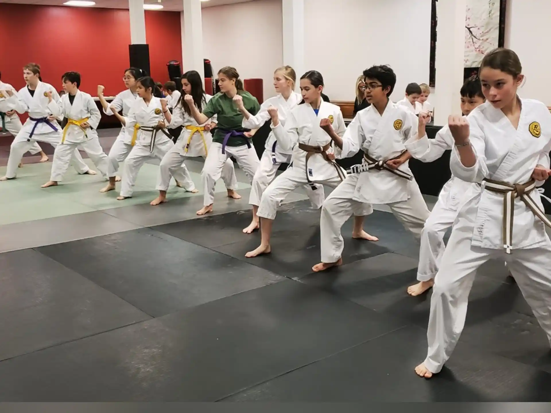 a group of people in karate uniforms