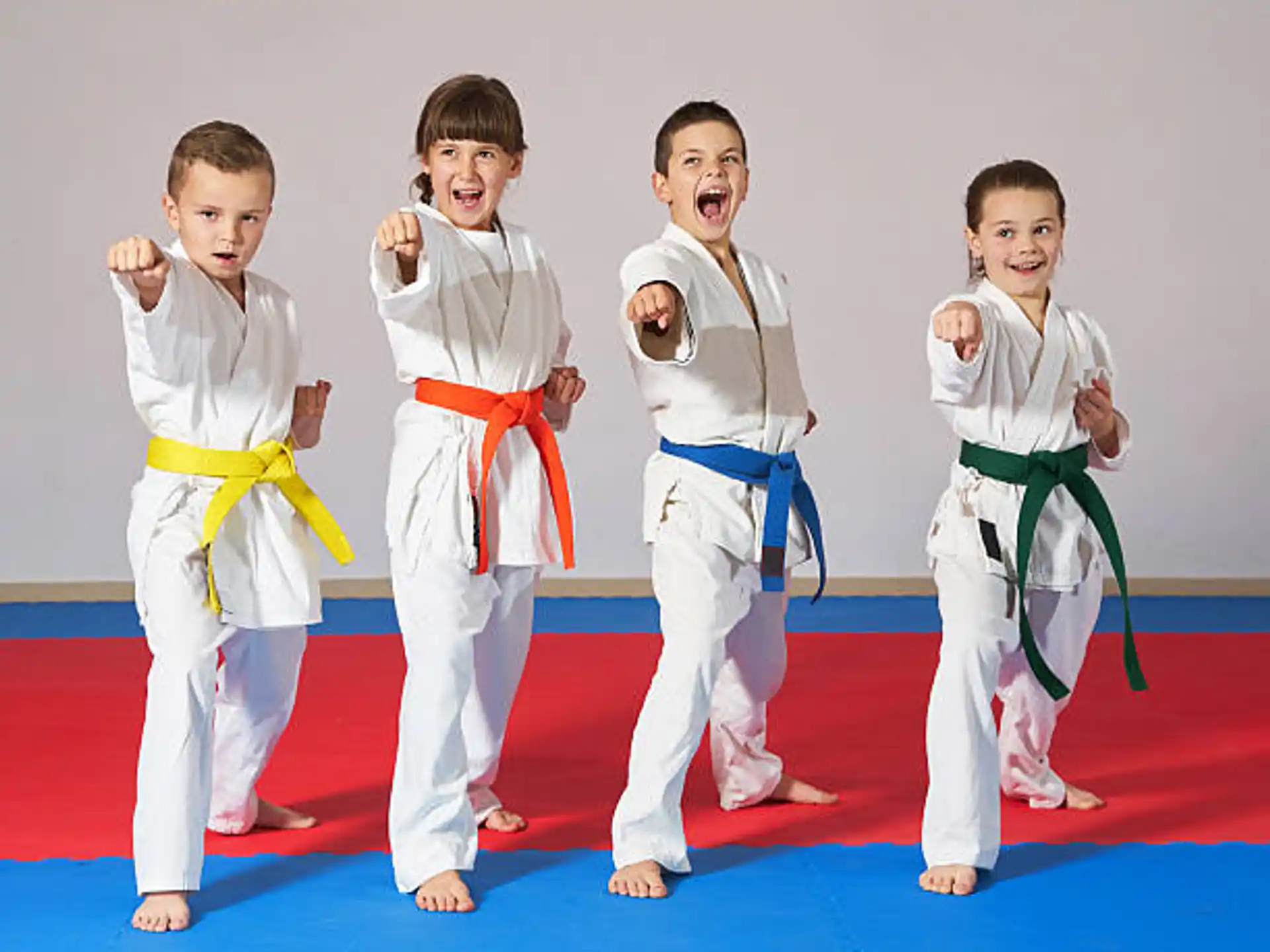 a group of boys in karate uniforms