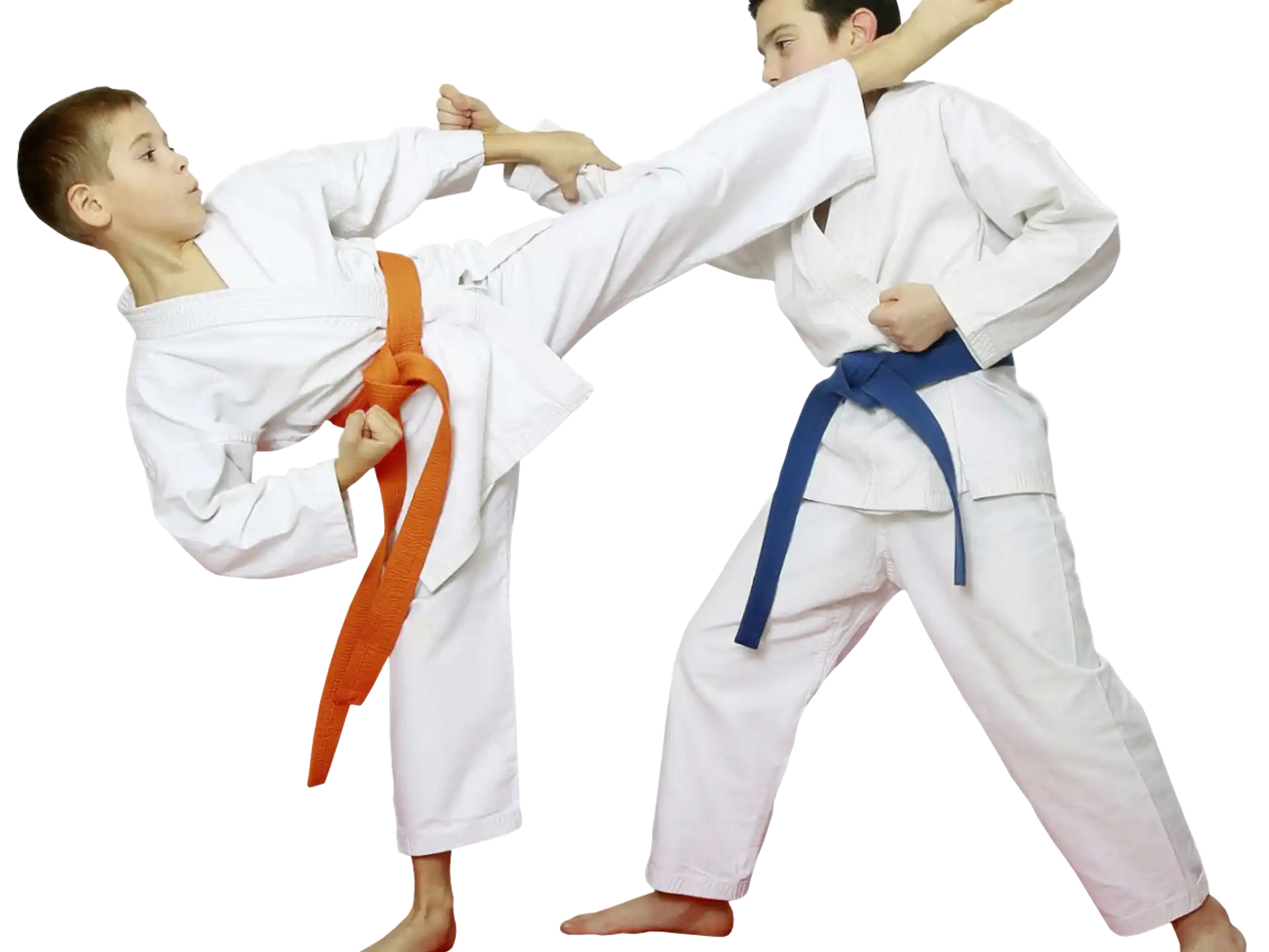 a group of boys in karate uniforms