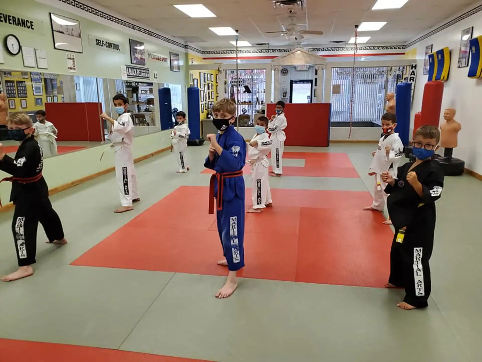 a group of children in a karate class