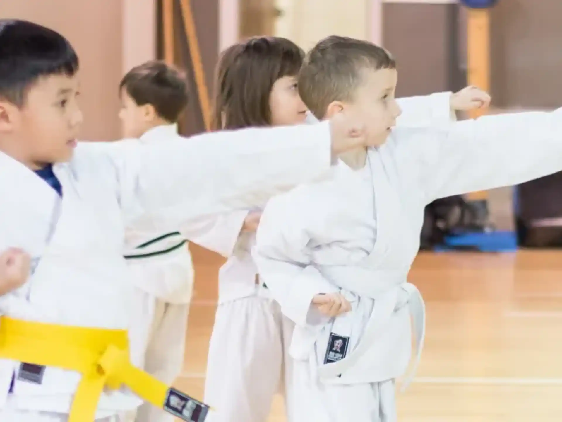 a group of children in karate uniforms