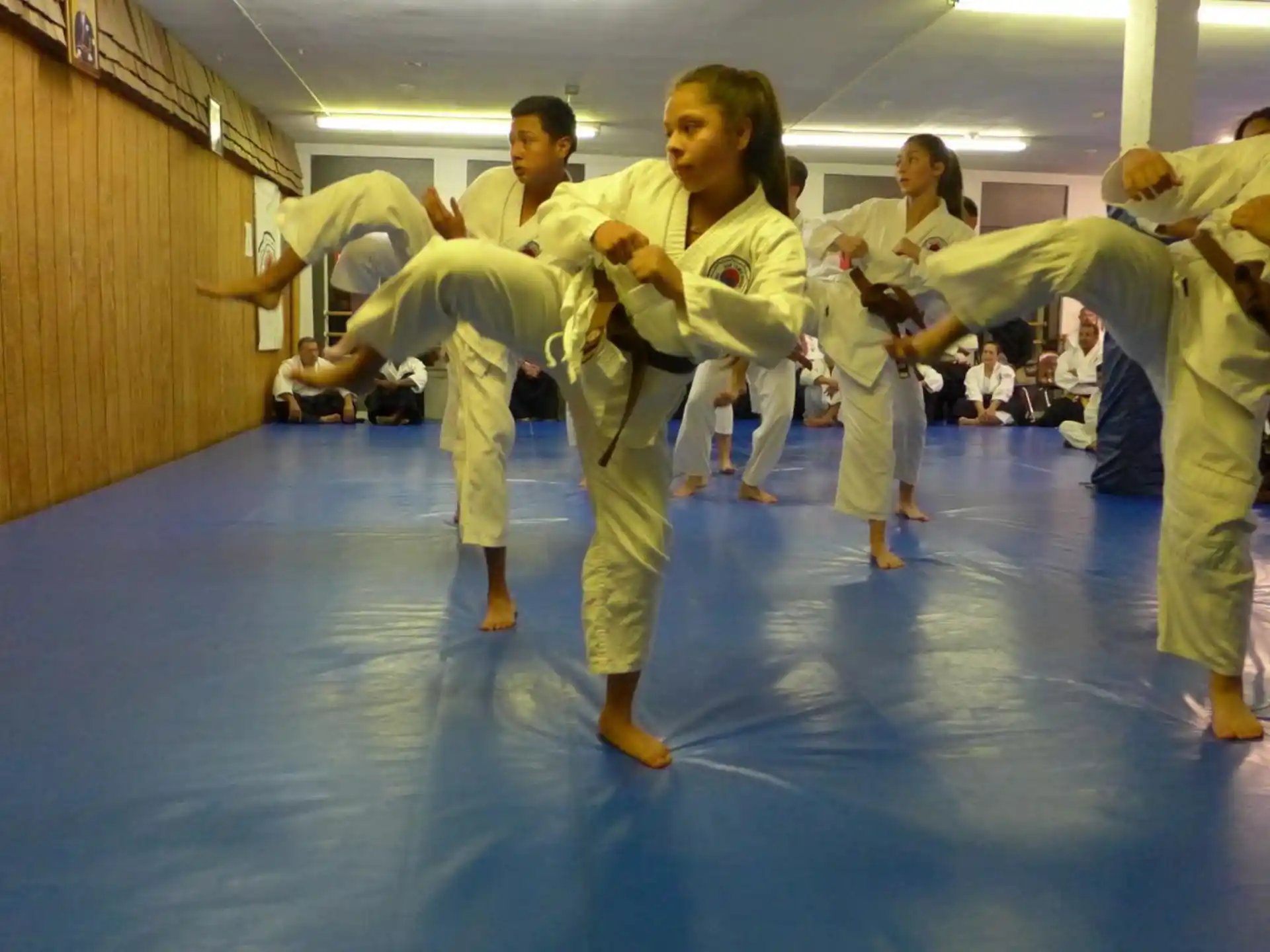 a group of people in karate uniforms