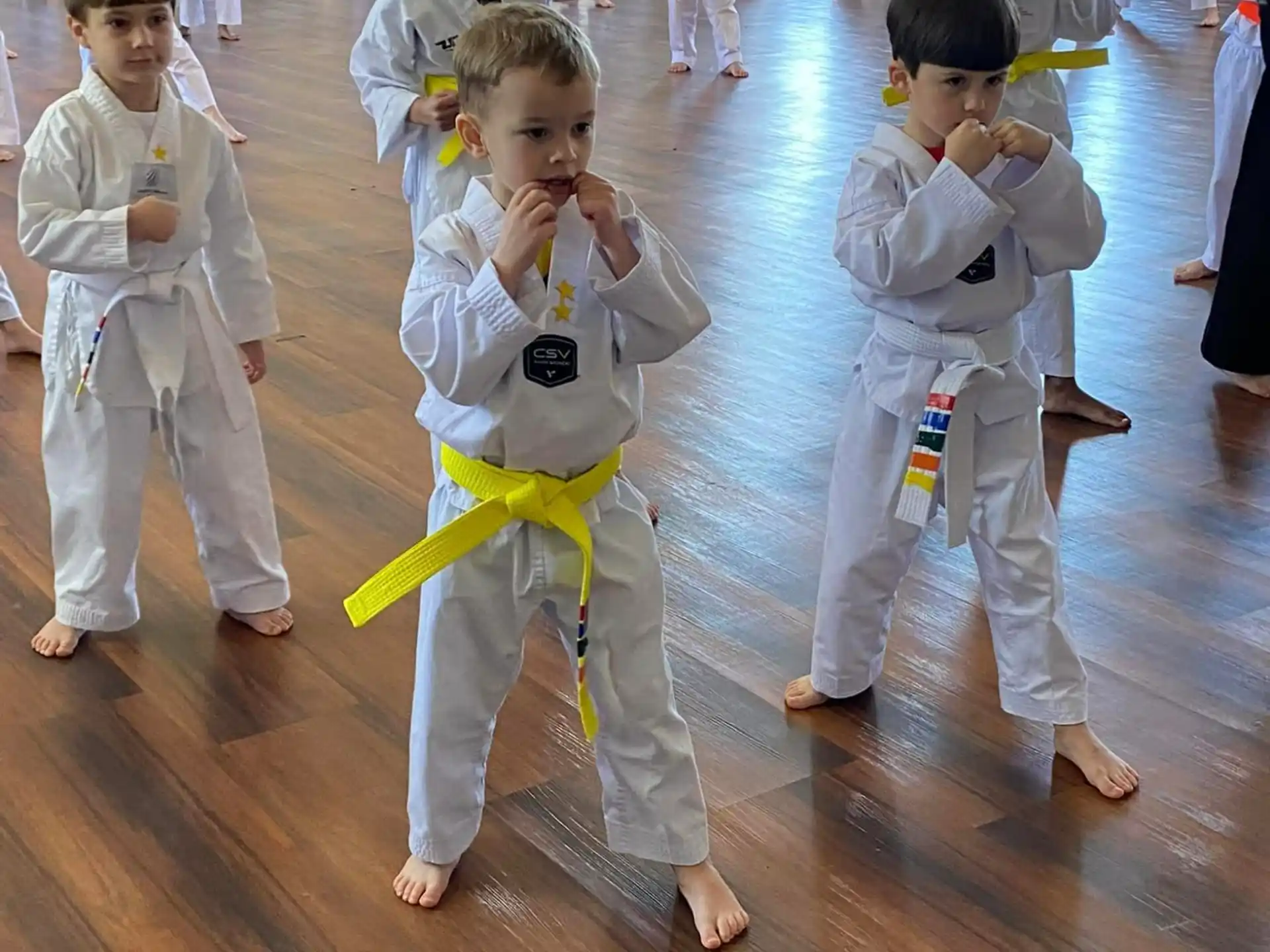 a group of children in karate uniforms