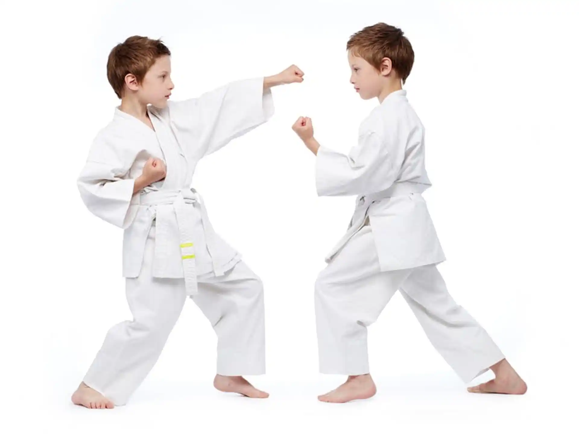 a couple of boys in karate uniforms
