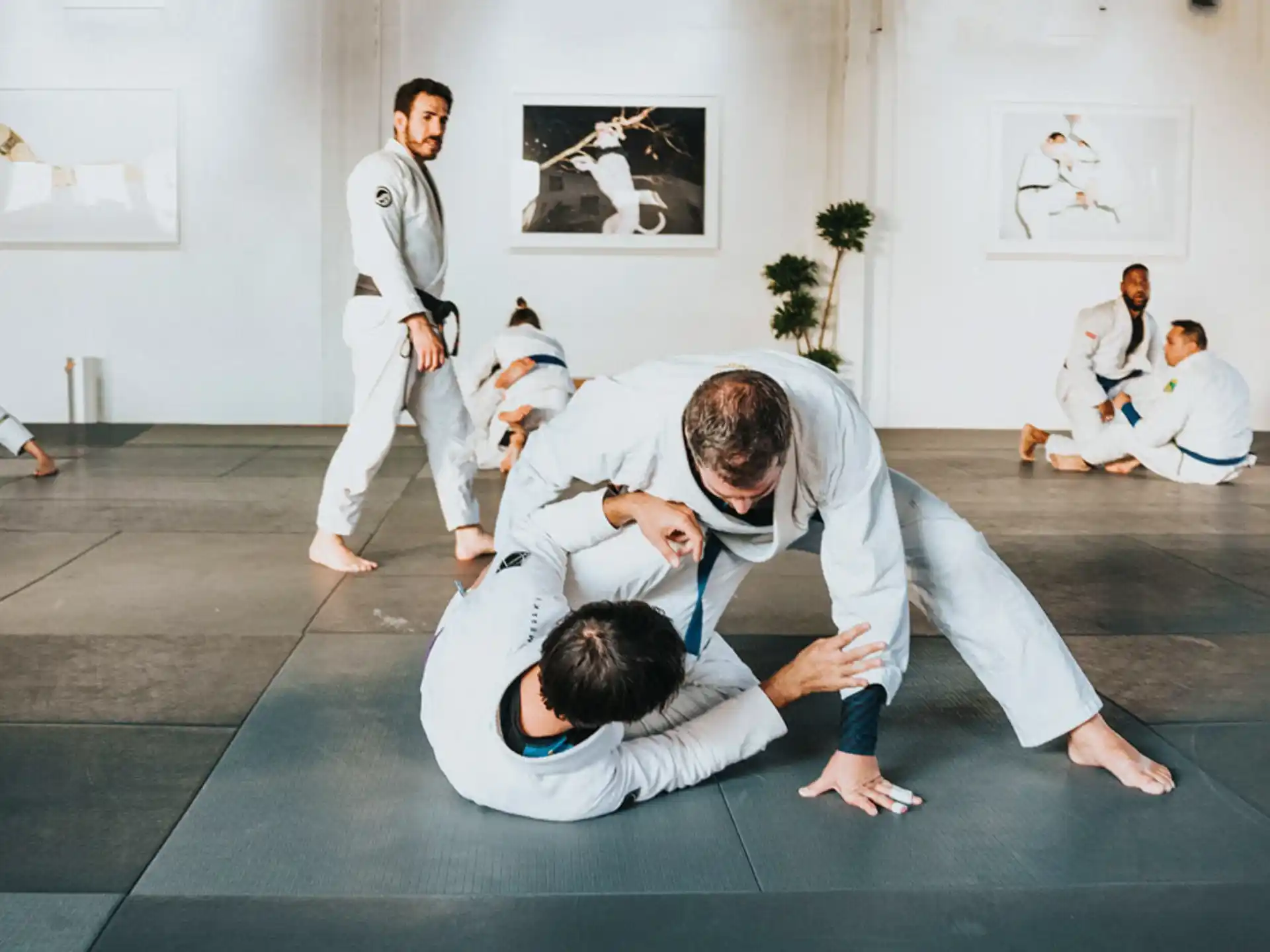 a group of people in karate uniforms