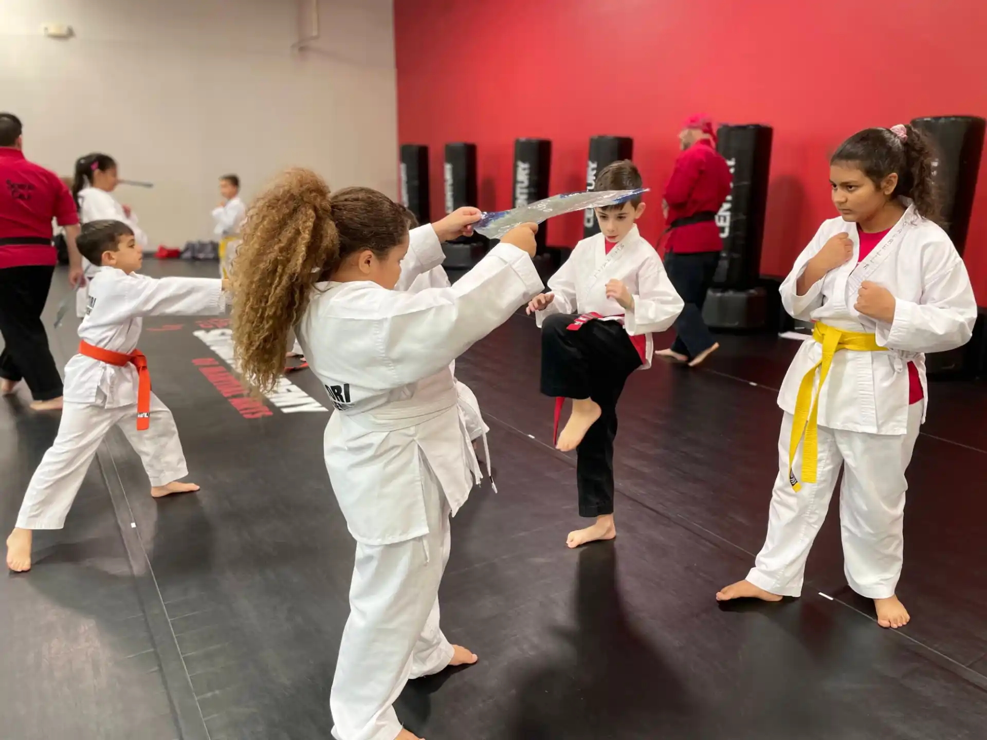 a group of people in karate uniforms