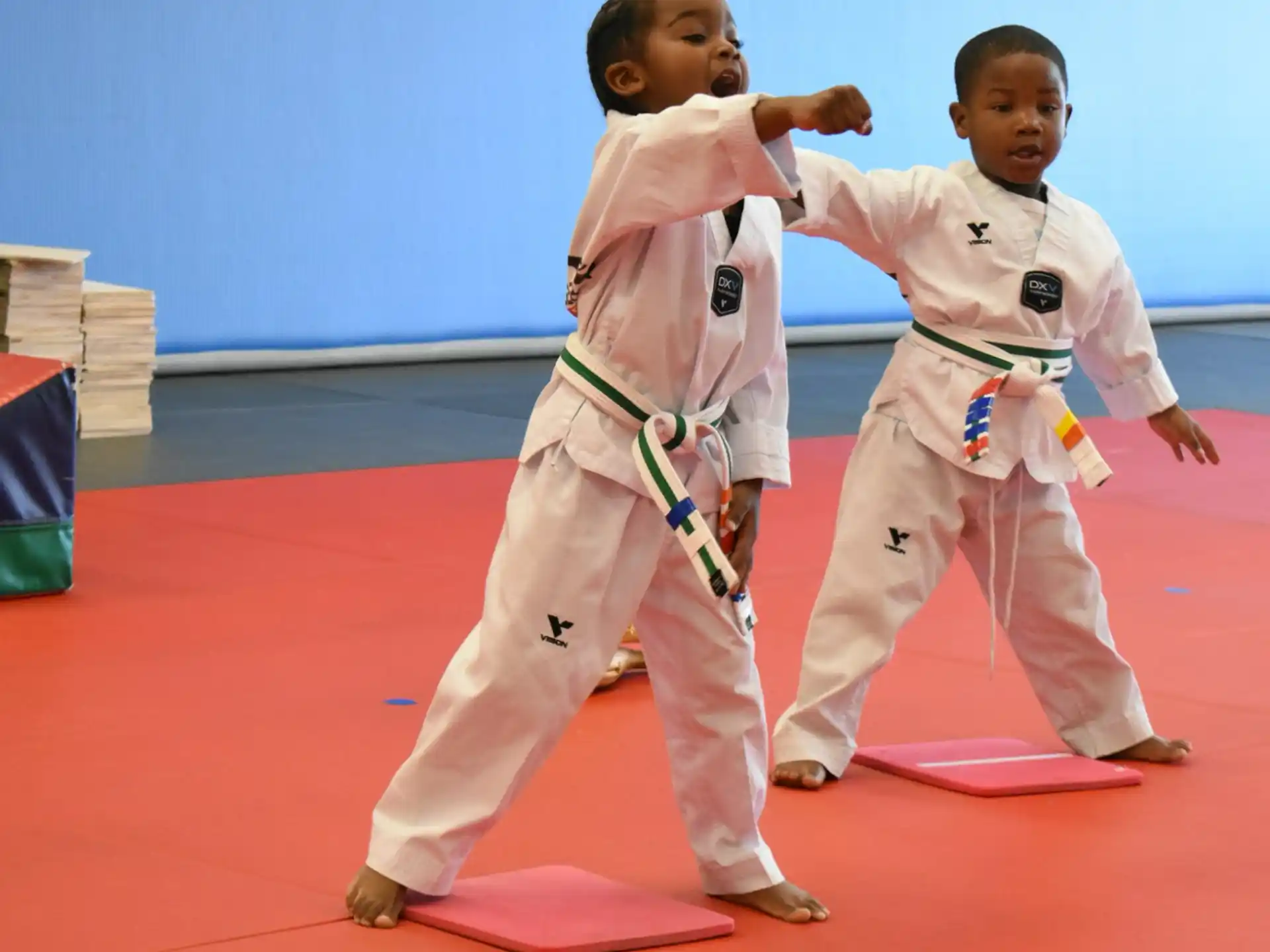two people in karate uniforms