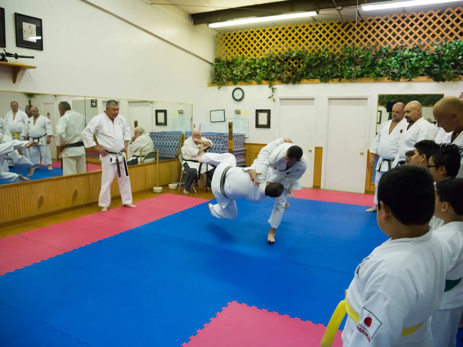 a group of people watching a person do martial arts