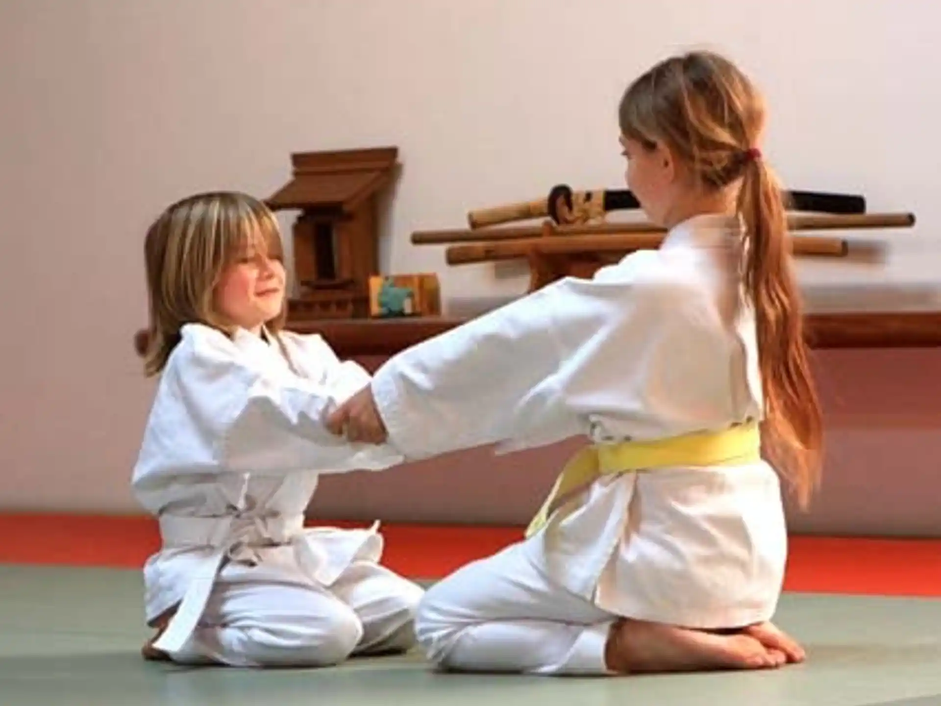 a couple of girls in karate uniforms