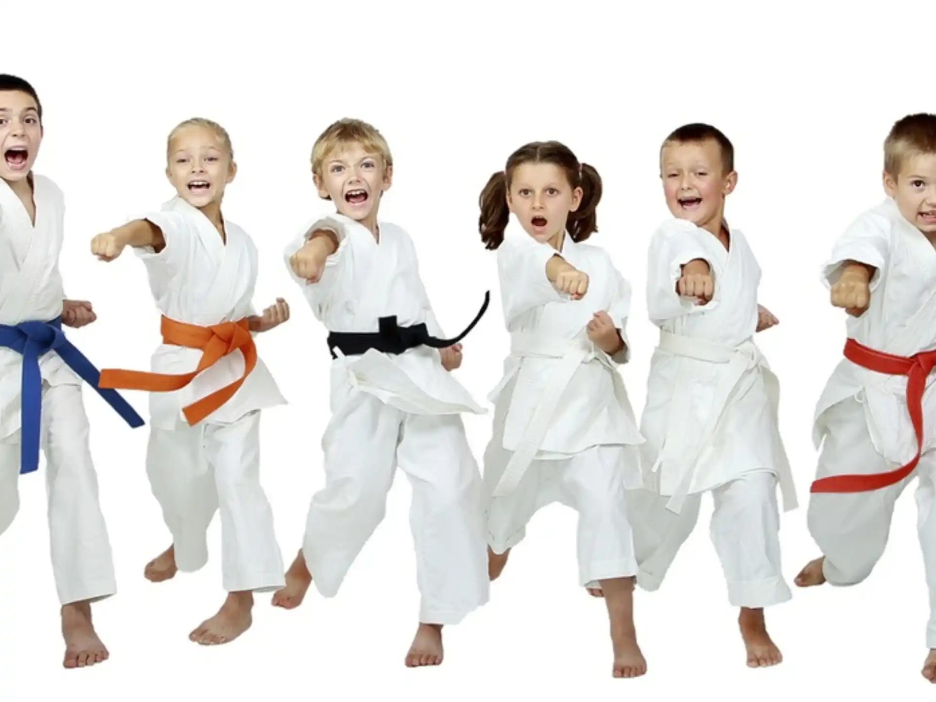 a group of kids in karate uniforms