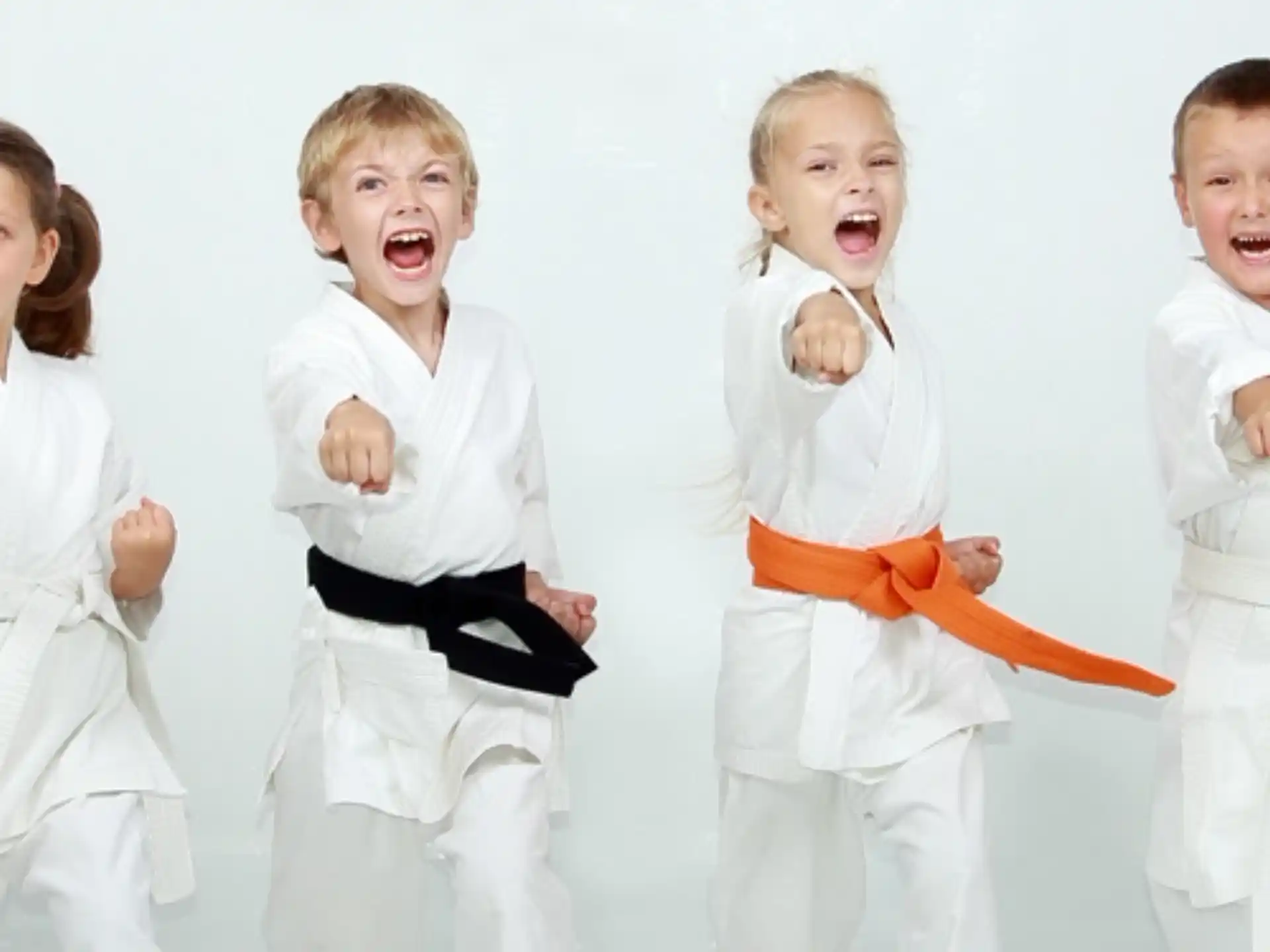 a group of children in karate uniforms