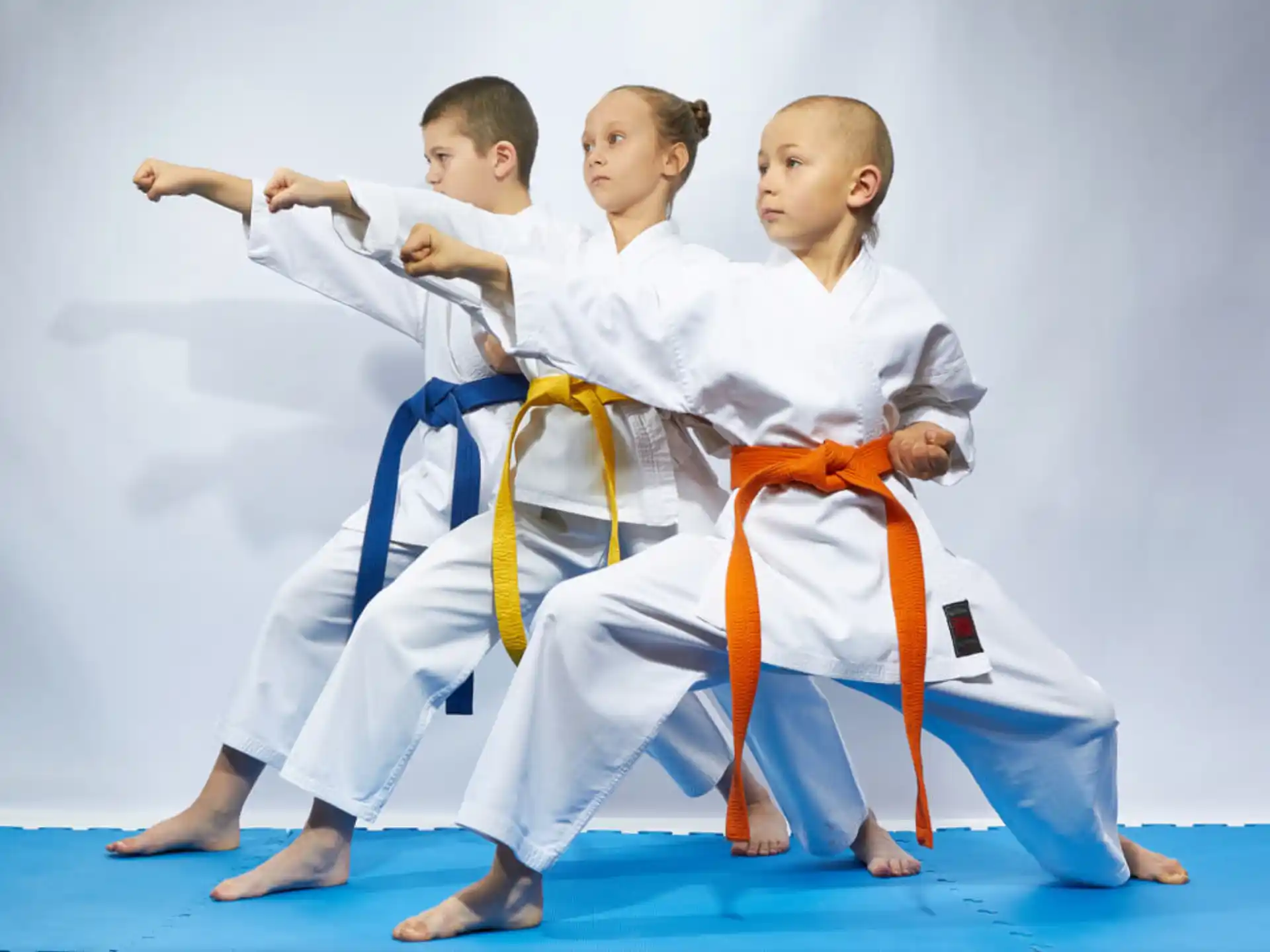 a group of children in karate uniforms