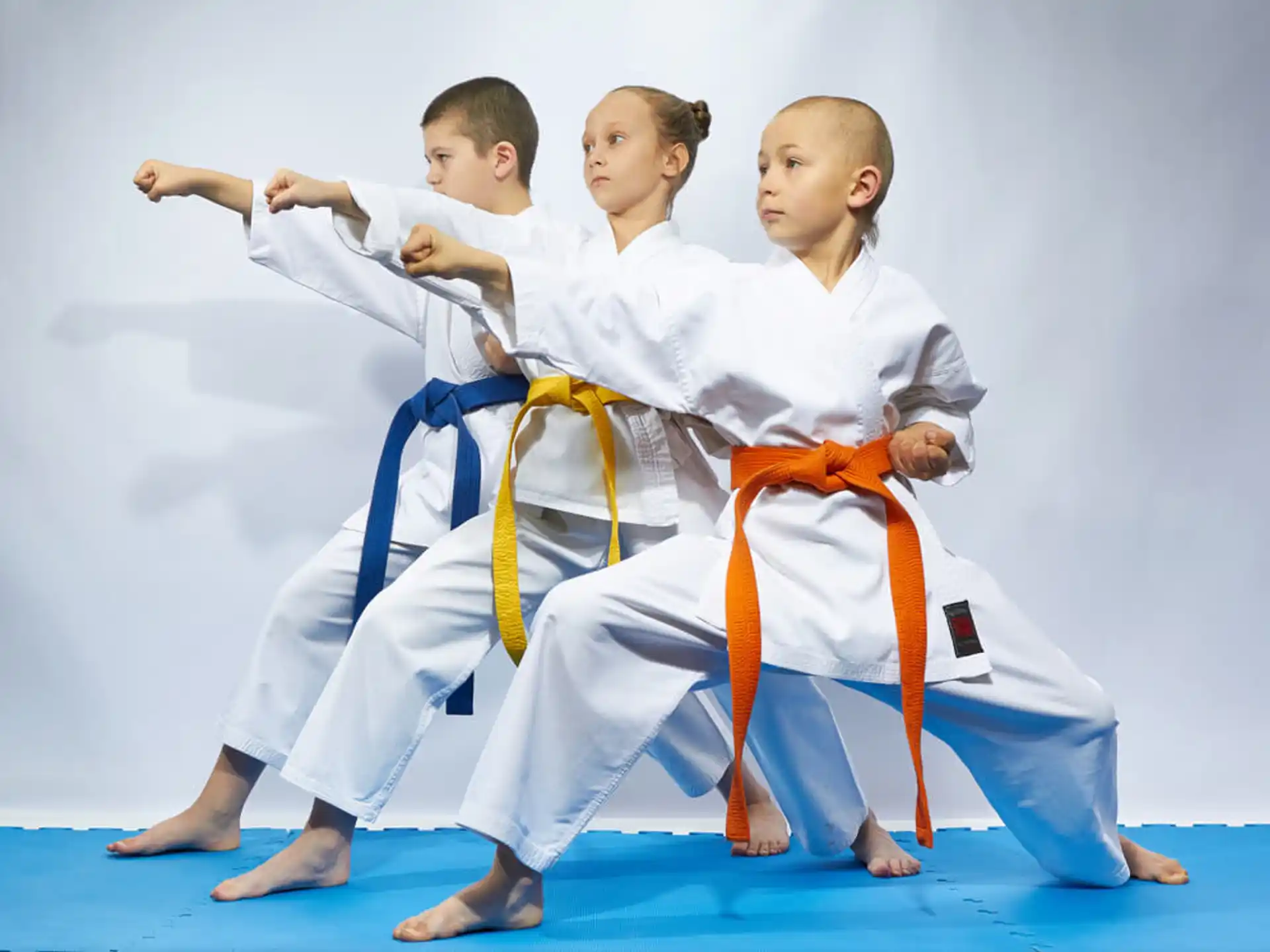 a group of children in karate uniforms