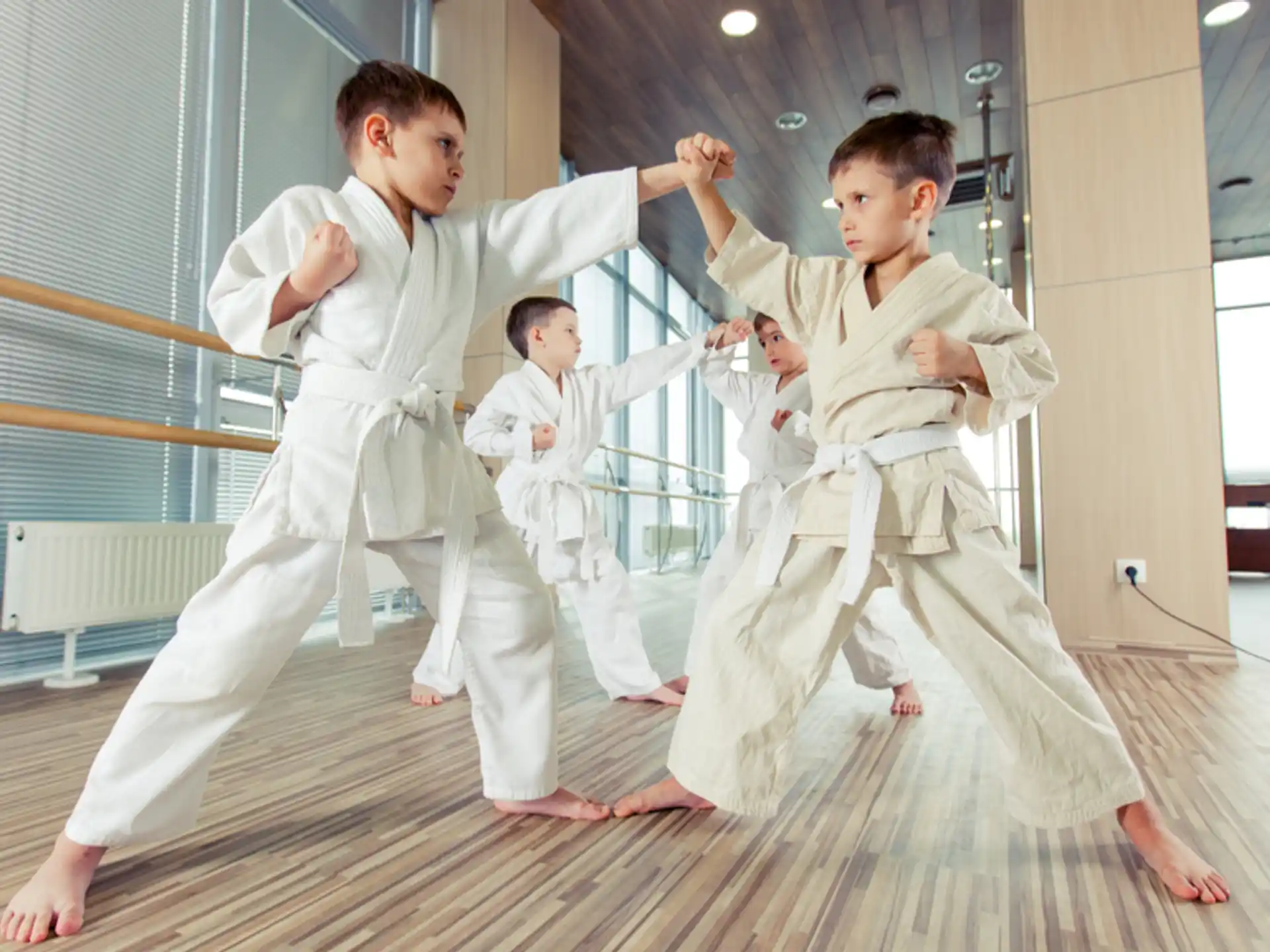 a group of boys in karate uniforms