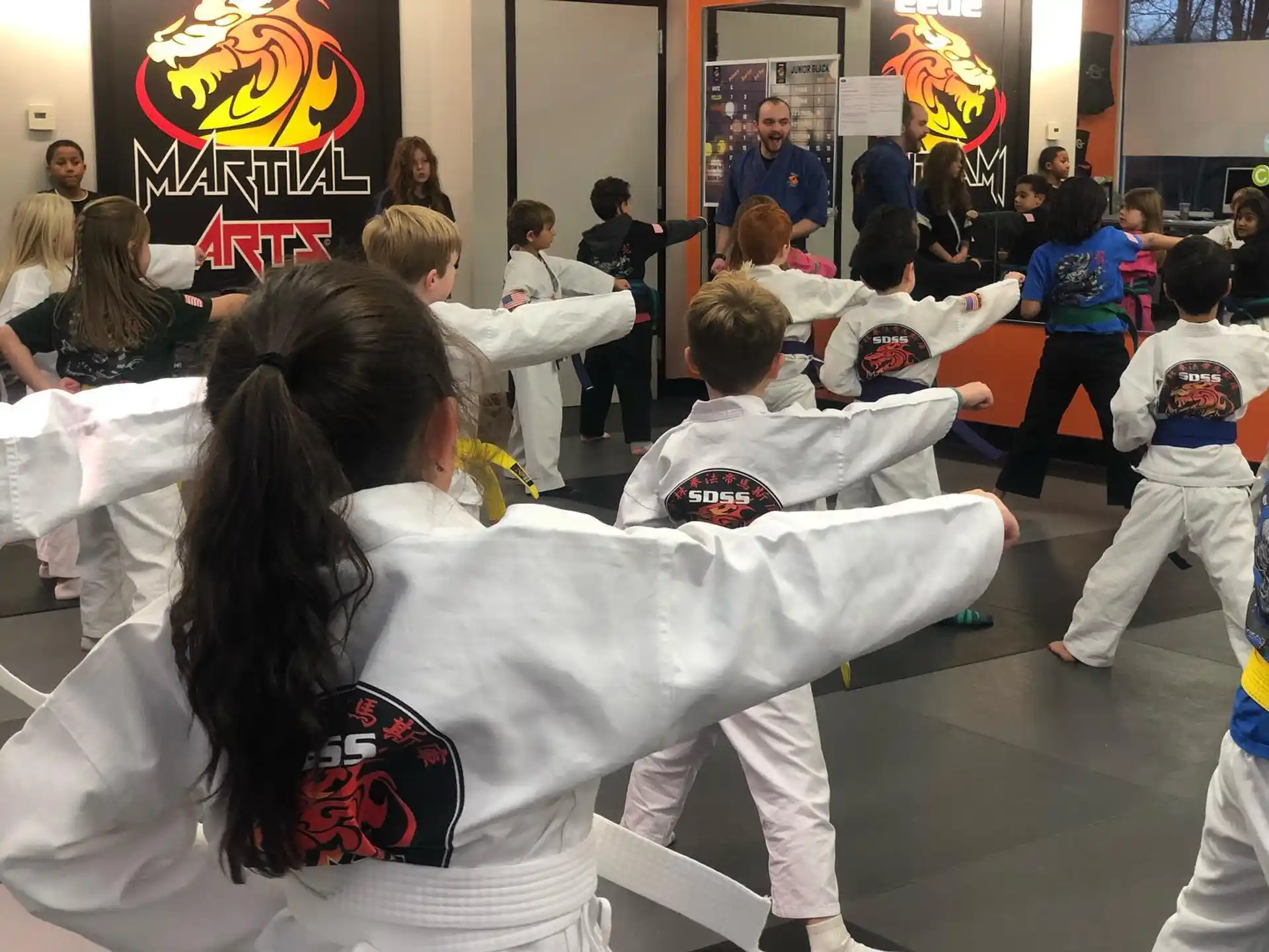 a group of people in karate uniforms