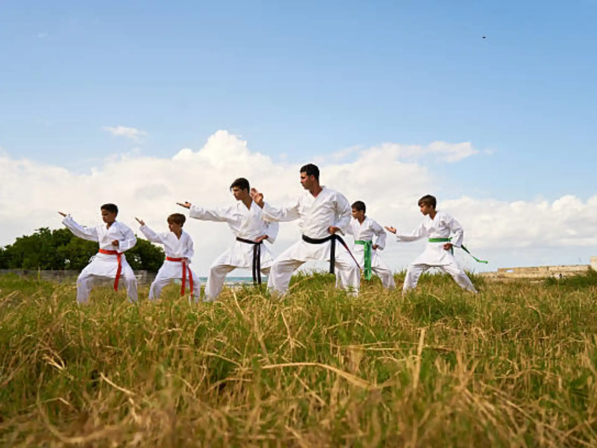 a group of people in white karate uniforms in a field