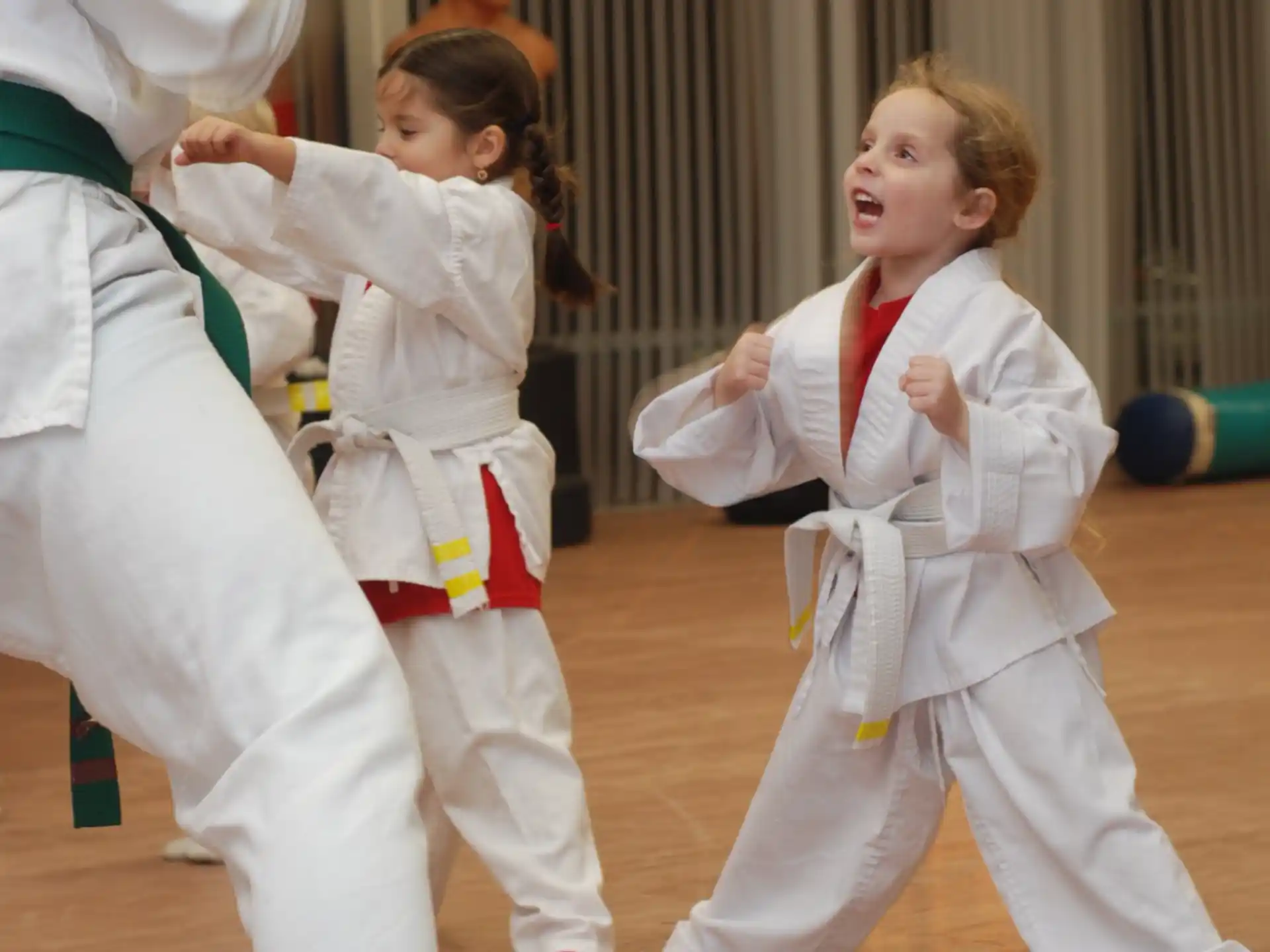 a group of children in karate uniforms